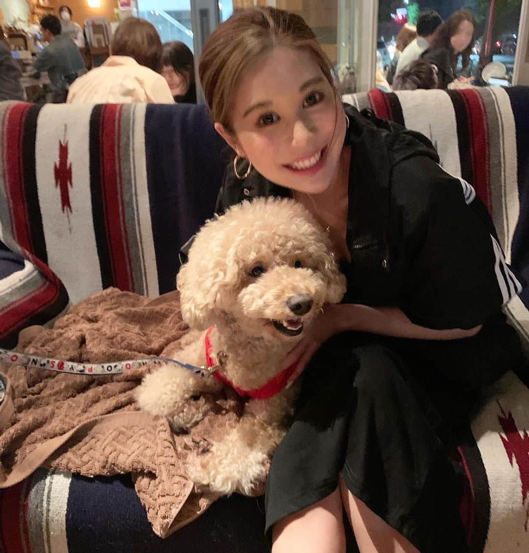 Yuriyaさんのインスタグラム写真 - (YuriyaInstagram)「やっと会えた私の中の芸能犬❤️笑 渡辺ハッピーくん🐩🐾 @watanabehappy  わたし最大級に犬アレルギーなんだけど、会いたくてたまらなかった🤣🧡 やっと会えて嬉しー🤣🧡🧡 ただ性格が時代劇みたいな暴れん坊すぎ❤️わら #watanabehappy」6月23日 16時03分 - yuriya_michelle