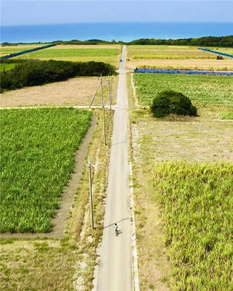 Be.okinawaさんのインスタグラム写真 - (Be.okinawaInstagram)「Cycle through Hateruma -- an island of beautiful fields and unspoiled landscapes. 📷: @hiroshi_0515 📍: Hateruma Island  Did you know that with less than 500 residents, Hateruma Island is the southernmost inhabited island of Japan?  We look forward to welcoming you again near future when the time has come. #okinawaathome #staysafe  #haterumaisland #yaeyamaislands #波照間島 #八重山群島 #하테루마섬 #야에야마제도 #波照間諸島 #原風景 #amazinglandscape #beautifulscenery #beokinawa #visitokinawa」6月23日 16時00分 - visitokinawajapan