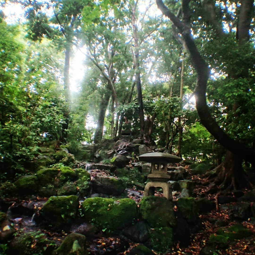 杉田芳尚さんのインスタグラム写真 - (杉田芳尚Instagram)「・ ・  #石川県 への旅  #尾山神社 は、#前田利家 が祀られている神社。  庭の景色も、雨に濡れた雰囲気がまた良しでした☆  #国指定重要文化財 の #神門 はスマートフォンレベルじゃ、上手く撮れません💦  明治の建築で「和漢洋」の要素があって、細かい所までずっと観ていられます👍  #BlackEyeLens #カエル好き」6月23日 16時15分 - yoshihisasugita