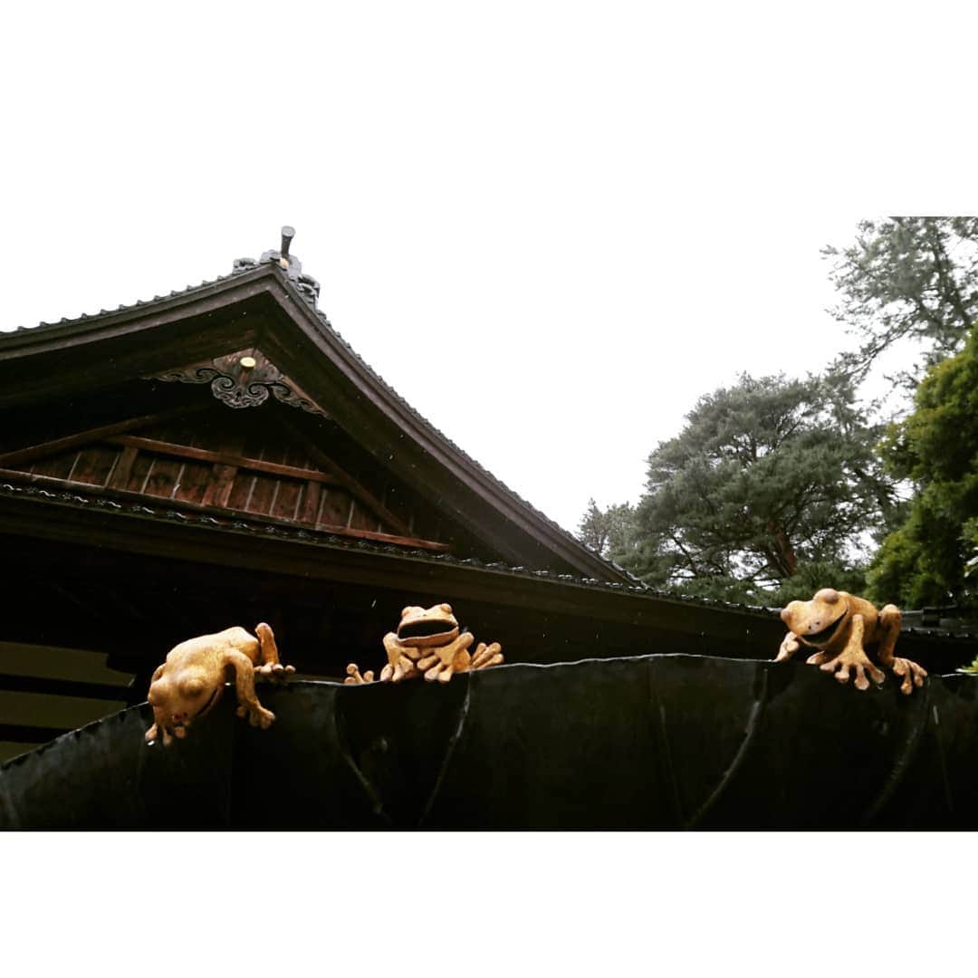 杉田芳尚さんのインスタグラム写真 - (杉田芳尚Instagram)「・ ・  #石川県 への旅  #尾山神社 は、#前田利家 が祀られている神社。  庭の景色も、雨に濡れた雰囲気がまた良しでした☆  #国指定重要文化財 の #神門 はスマートフォンレベルじゃ、上手く撮れません💦  明治の建築で「和漢洋」の要素があって、細かい所までずっと観ていられます👍  #BlackEyeLens #カエル好き」6月23日 16時15分 - yoshihisasugita