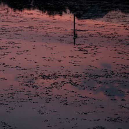 ヒラハルのグルメインスタ