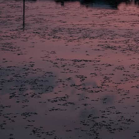 ヒラハルのグルメインスタ