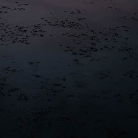 ヒラハルのグルメインスタ