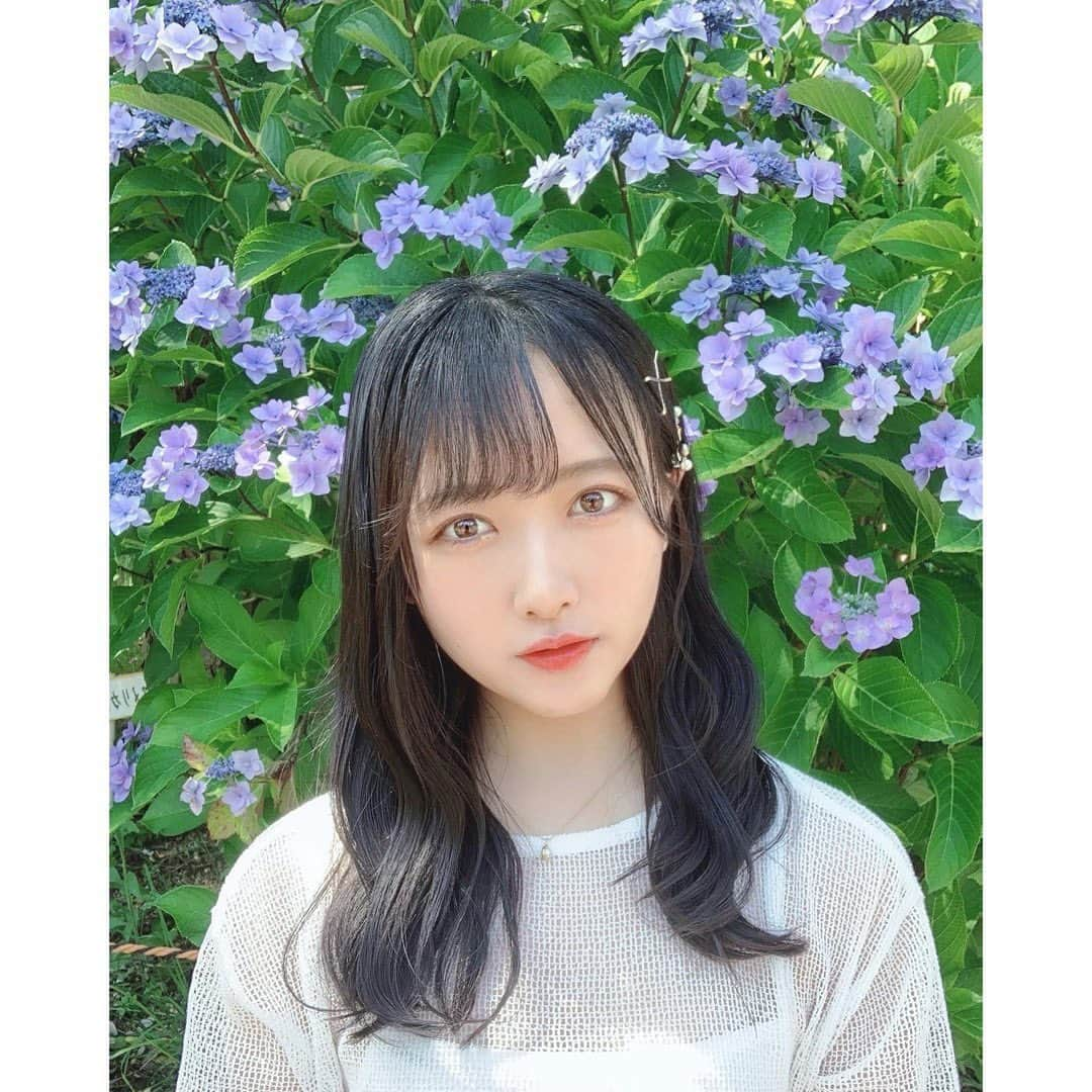 石田千穂さんのインスタグラム写真 - (石田千穂Instagram)「． 今日過ごしやすい暖かさで嬉しい☺️ #花 #多分 #紫陽花 #ootd #ootdfashion #dazzlin #STU48 #石田千穂」6月23日 17時50分 - chiho_ishida