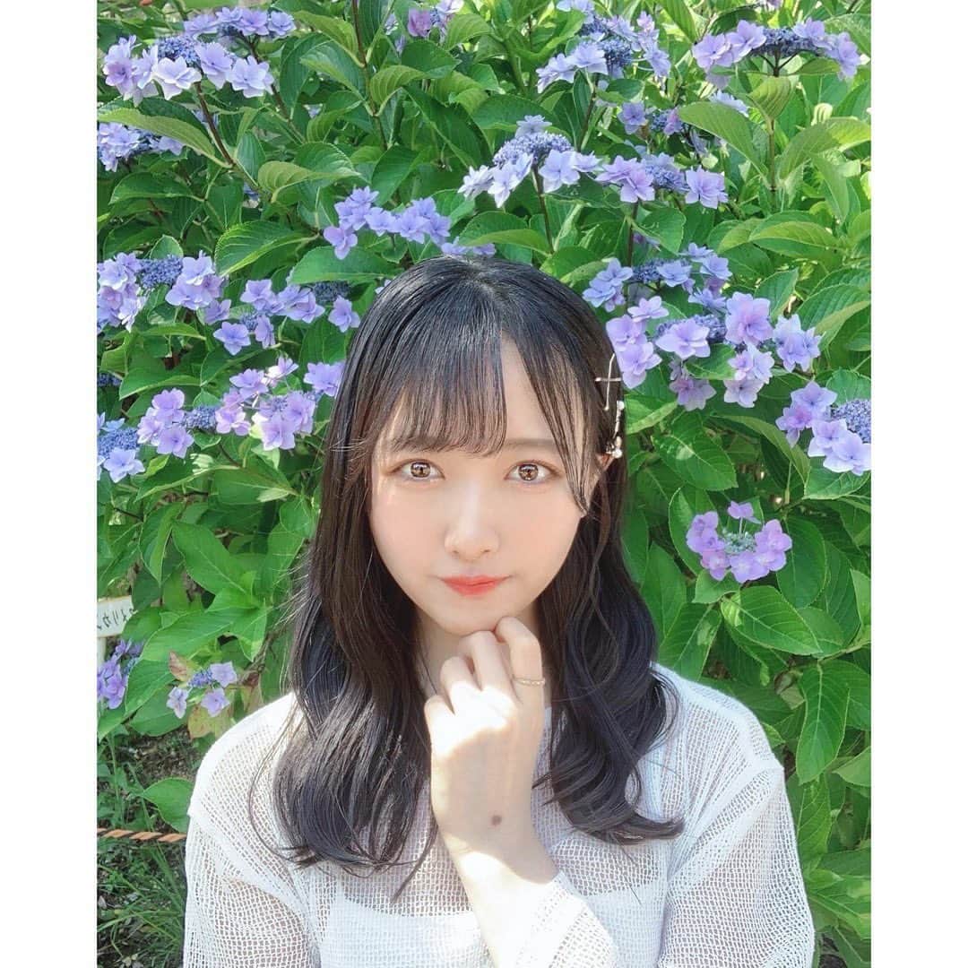 のインスタグラム：「． 今日過ごしやすい暖かさで嬉しい☺️ #花 #多分 #紫陽花 #ootd #ootdfashion #dazzlin #STU48 #石田千穂」