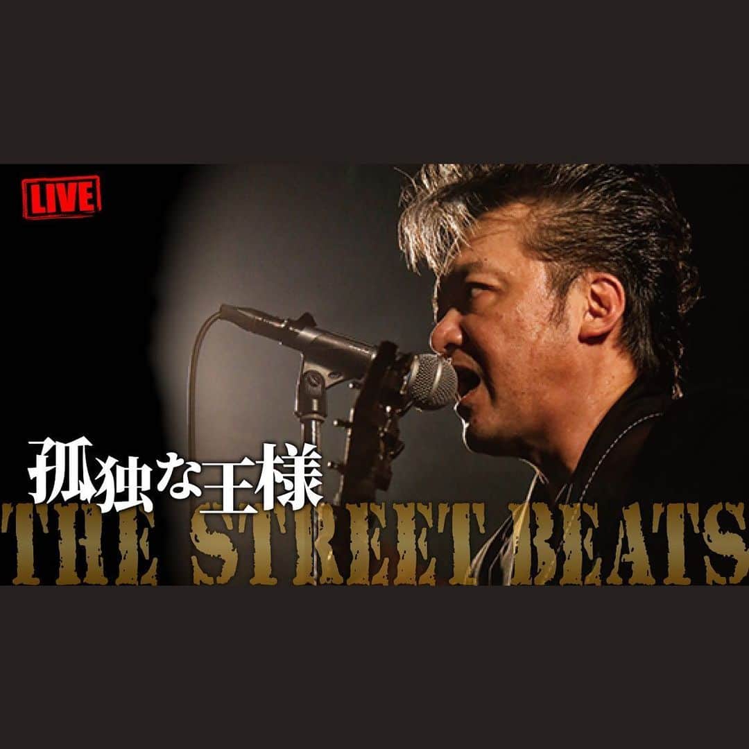 THE STREET BEATS（ザ・ストリート・ビーツ）さんのインスタグラム写真 - (THE STREET BEATS（ザ・ストリート・ビーツ）Instagram)「. ■THE STREET BEATS 公式YouTubeチャンネルに「孤独な王様」をUPしました！ロンサムボーイと並ぶSEIZIボーカルの代表曲の一つ！1ヶ月後のライブ再開を目標に今週も心奮い立たせていきましょう！SEIZIの新着動画「NO CONTROL」も再生リスト「SEIZI PRIVATE Bar ALBUM」に追加。併せて是非ご覧下さい！URLはオフィシャルサイト、公式Facebook、公式Twitter等でご確認ください！拡散＆チャンネル登録も是非よろしくお願い致します！ . ■ファンクラブBEATBOXにて、公演中止となりました仙台・盛岡・京都・神戸公演のFC会員優先チケットをお申込されていたFC会員の皆様方には昨日「現金書留」にて返金が全て完了致しました。宜しくご査収下さいませ。 . ■4月8日発売ニューアルバム『生きた証を残す旅』、ツアーグッズ、CD&DVD、NEOVISION通販受付中！＊通販で商品合計1万円以上ご購入の方に宛名入りで「メンバー直筆サイン色紙」プレゼント。通販詳細はオフィシャルサイトの「通信販売」をご覧下さい！ . ■ニューアルバム『生きた証を残す旅』全曲配信中 ＆ 全国CDショップ、ネットショップ、NEOVISION通販で取扱い。詳しくはオフィシャルサイトや公式Facebookでご確認ください。 . . THE STREET BEATS 生きた証を残す旅 DDCB-4005  全10曲 税込価格￥3300（本体￥3000＋税) 2020年4月8日発売 発売元：NEOVISION 販売元：㈱スペースシャワーネットワーク . 魂のロックバンド THE STREET BEATSが高らかに歌い上げる人生賛歌！その一途な生き様と揺るがぬ確かな人生観を色濃く投影した渾身のニューアルバム！ . 【曲目】 01. 生きた証を残す旅 02. ONE AND ONLY 03. 遠く見える灯 04. LOVE YOUR LIFE 05. 千の夢を見た 06. TRUE THING 07. 海鳴りのロンド 08. 愛する人へ 09. 旅空 10. 道まだ遥か . 全国CDショップ、ネットショップ、ネット配信等取扱い。＊NEOVISION通販でご購入の方にはオリジナル特典ステッカーをプレゼント。 . ＊NEOVISION通販で商品合計1万円以上ご購入の方に宛名入りで「メンバー直筆サイン色紙」プレゼント！「通販1回のお申し込みにつき商品合計1万円以上ご購入」の方が対象となりますのでお間違いのないようご注意下さい。（FC継続・新規、チケット申込、通販返送手数料等は含まない商品代金のみの合計額です）通販詳細はオフィシャルサイトの「通信販売」をご覧下さい！皆様のお申込をお待ちしております！ . ★ニューアルバム『生きた証を残す旅』　￥3,300 ★[生きた証を残す旅] Ｔシャツ　￥3,500 （黒ボディ／SS、S、M、L、XL） ★[生きた証を残す旅] 缶バッジ5個セット　￥1,500 ★[MUSIC GIVES US POWER]＋ロゴ＆30周年復刻 ステッカー3枚セット　￥1,000 ★[BEATSロゴ(BEATSMANIA)] ステージタオル　￥3,000（黒地×白×赤。1100mm） ★[BEATSロゴ]リストバンド　￥1,000（白のみ。在庫僅少） ★[ALL TIME BEATS] Ｔシャツ　￥3,500 （黒ボディ／S、Lのみ在庫あり。在庫僅少） ★ライブDVD『ALL TIME BEATS』 ￥4,500 ★ライブCD『ALL TIME BEATS』　￥3,000 ★ライブDVD『MEMORIAL LIVE』 ￥4,500 ★ライブCD『MEMORIAL LIVE』　￥3,000 . 【NEOVISION通販予約のご案内】 ●【郵便振替】にてお申し込みください。 ●口座番号／00180-8-655394 ●口座名／NEOVISION ●郵便局備え付けの青い「通常」払込取扱票を使用し【通信欄】に★商品名 ★数量 ★FC会員の方は会員番号 【ご依頼人】欄に★郵便番号、住所、氏名、連絡先（携帯電話番号）を正確にご記入のうえ、商品代金合計＋返送手数料をご入金下さい。通販価格は全て税込です。商品代金に返送手数料をプラスして【郵便振替】にてお払い込み下さい。返送手数料は1点￥500、2点以上は￥1,000です。 . . . #thestreetbeats #ストリートビーツ #生きた証を残す旅 #孤独な王様 #youtube #crowszero」6月23日 18時00分 - thestreetbeats_official