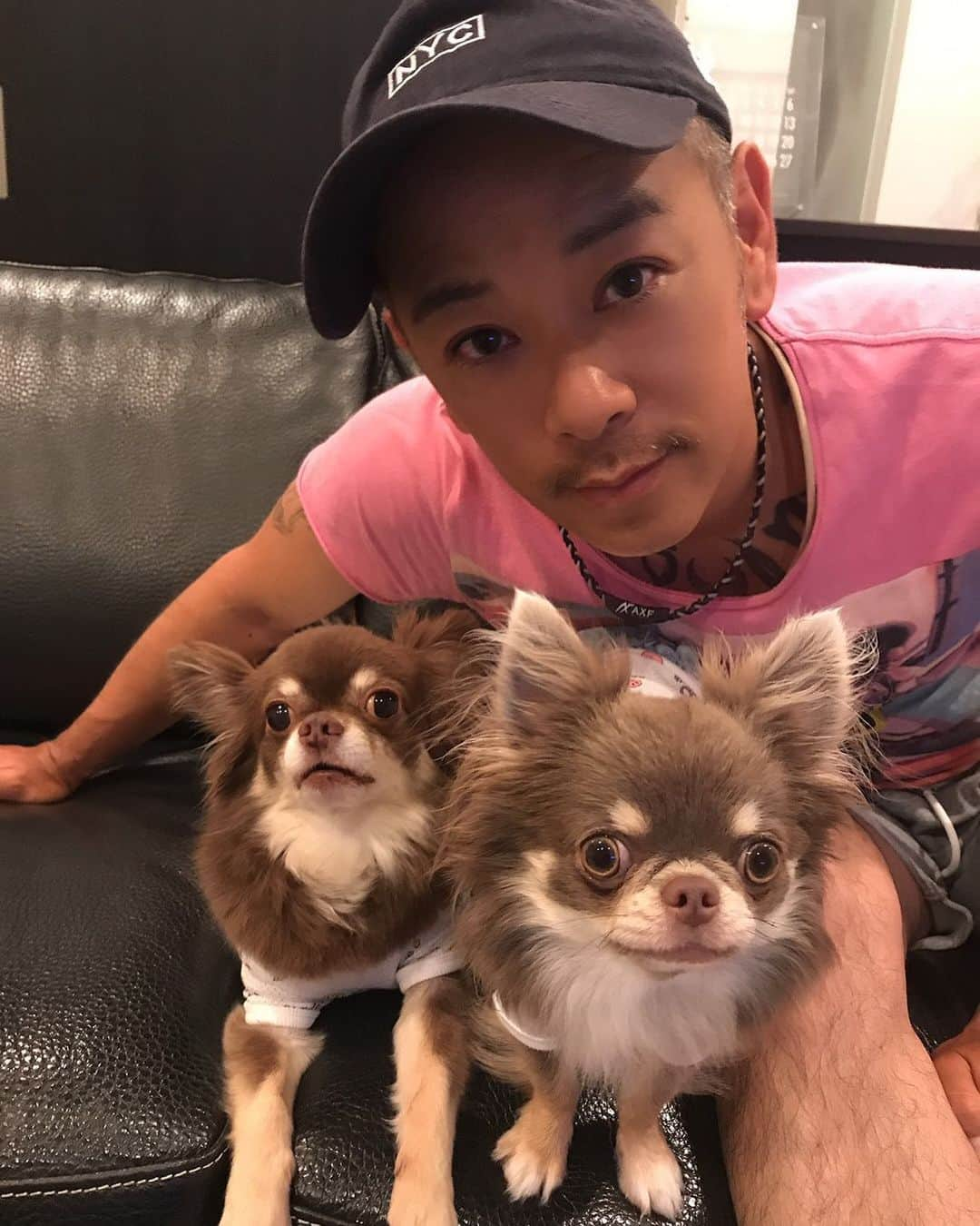 佐々木洋平さんのインスタグラム写真 - (佐々木洋平Instagram)「父の日の写真パート2  #ちわわ  #チワワ #chihuahua  #チョコタンチワワ  #イザベラタンチワワ  #ウェルニム #リオン」6月23日 18時14分 - panicrew_yohey