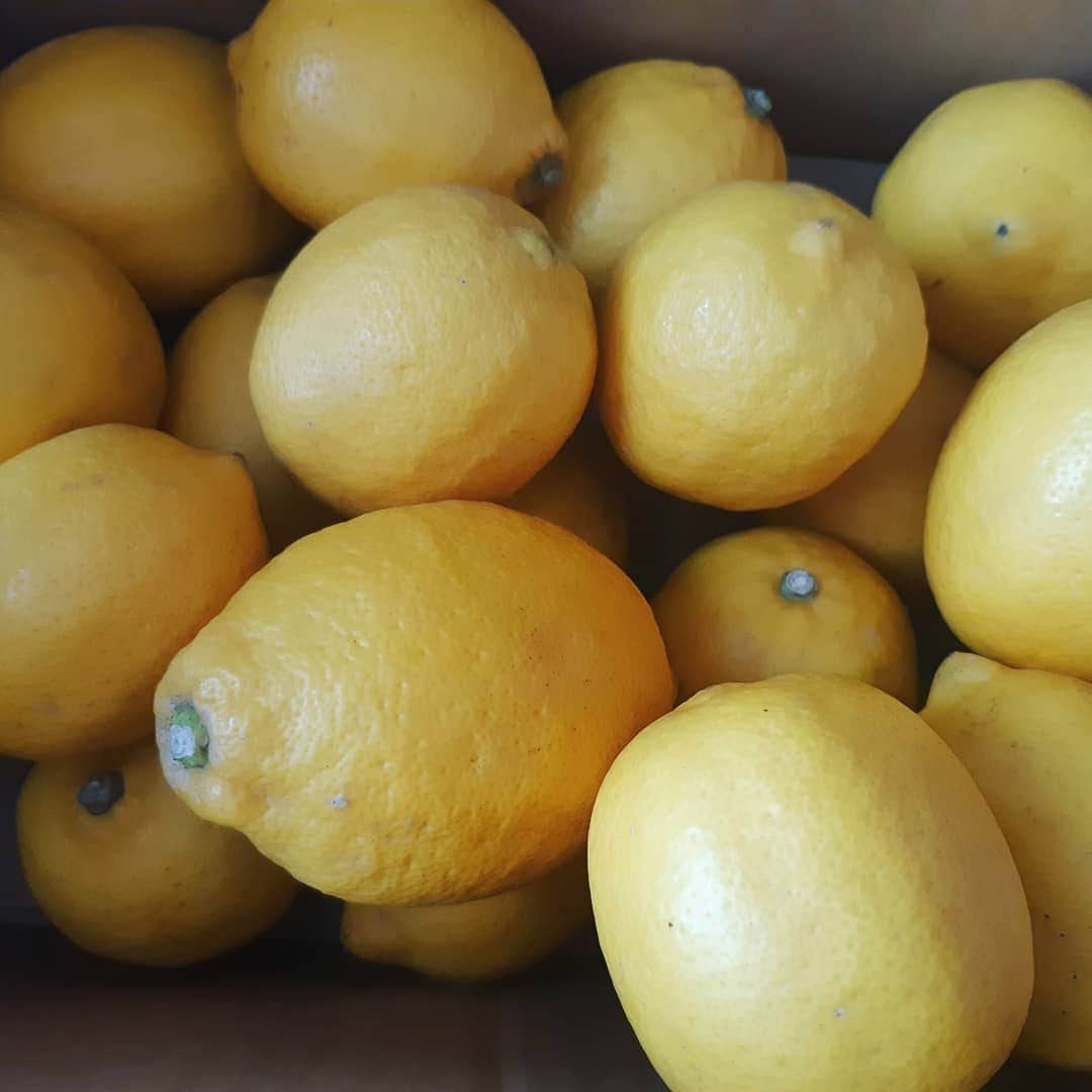 TOKIEさんのインスタグラム写真 - (TOKIEInstagram)「赤の次は黄色。ちょっと前になりますが、シーズンギリギリで立派な瀬戸田レモンが買えたのでいろいろ作ってました。 このペースト状にした塩レモンがとても使い勝手が良くてサラダチキンや何でも味付けはこれで。 レモンは小さく切って種を取り除き、レモンの重さ15%の粗塩とフードプロセッサーかミキサーにかけます。 Vitamixだととても滑らかになります、最強◎  #食べ物ばかりでごめんなさい」6月23日 18時18分 - tokieofficial1