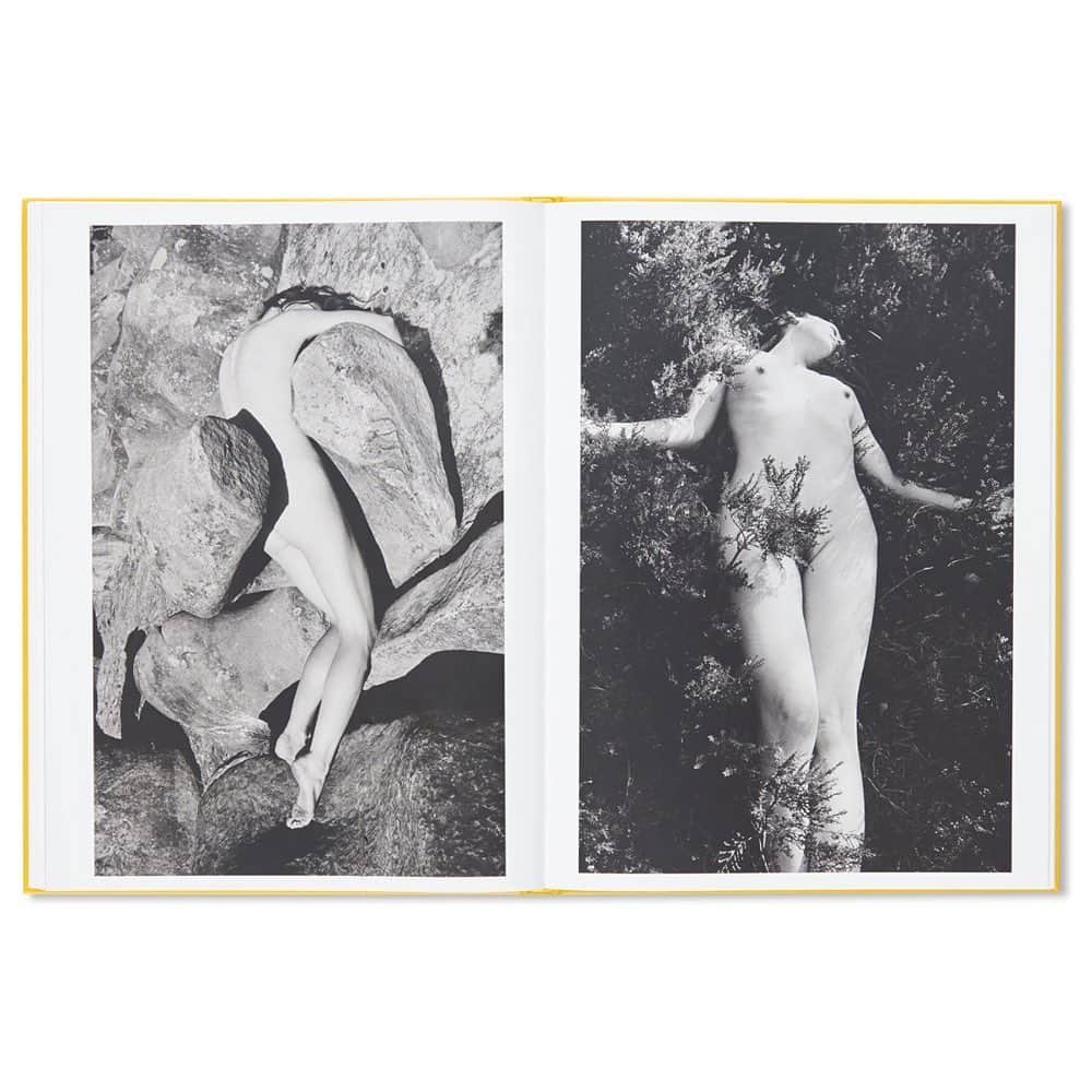 Sisterさんのインスタグラム写真 - (SisterInstagram)「-PICK UP BOOKS-﻿ ﻿ TWIST by Camille Vivier ¥6,400 (+tax)﻿ ﻿ フランス人フォトグラファー、カミーユ・ヴィヴィエ（Camille Vivier）の作品集。曲線的な女性の裸体と擬人化されたアバンギャルドな彫刻という、異なる2つの世界が出会う。本書に掲載されている彫刻は人の身体を模しており、作者は起伏のある形を官能的に描き出した。不合理で神秘的な世界観は、ありふれたものが持つ違和感を浮かび上がらせる。女性らしさの表現は、我々が普段目にするものよりもずっと抽象的で優しい。豊満でありのまま、官能的でありながら非現実的な身体と彫刻は、我々の視線を惹きつけて離さない。作者は、”女性の身体” 対 “ひとの身体”に似た形 / 造形 / 構造 / 様々な物体 といったその並列する二つのテーマで作品を対応させ纏めた。﻿ ﻿ hardcover﻿ 80 pages﻿ 230 x 310 mm﻿ color, black and white﻿ limited edition of 1,000 copies﻿ 2019﻿ ﻿ #twelvebooks #artbooks #books #sister_tokyo #twist #camillevivier﻿」6月23日 18時49分 - sister_tokyo
