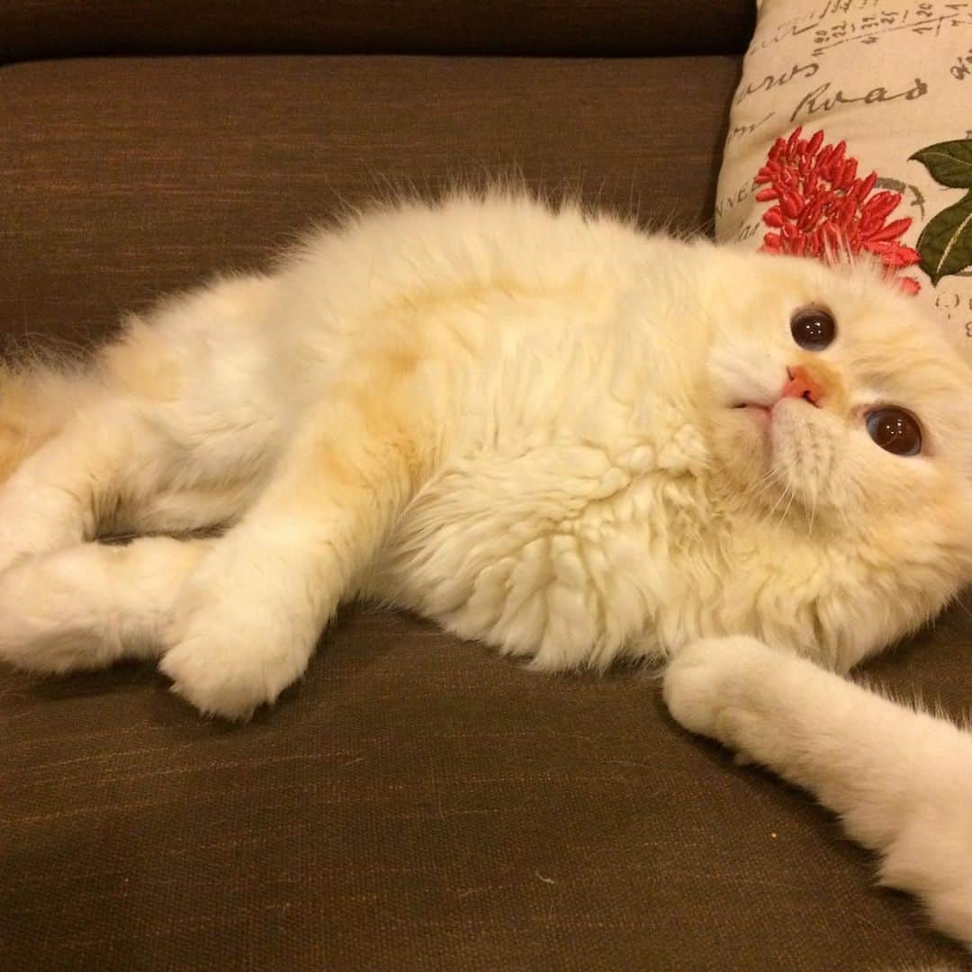 Haruのインスタグラム：「Don’t make me angry 😡 #gentleharper #โอ้ยยยยยยย #โกดแง้วนะ」