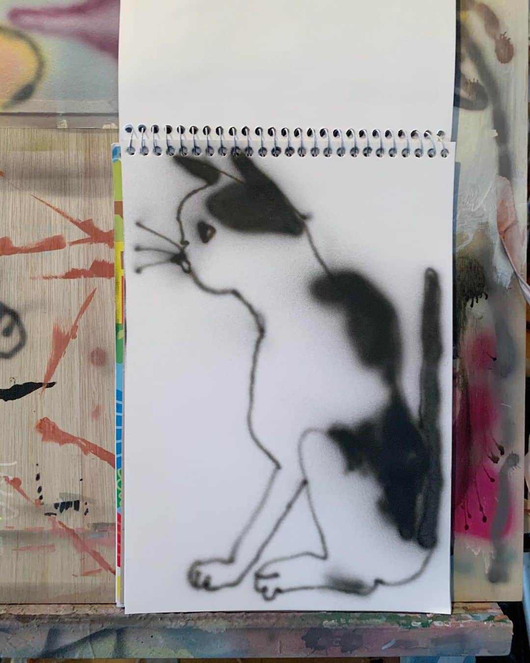 道木 さくら まやのインスタグラム：「"Sai the cat" by me」