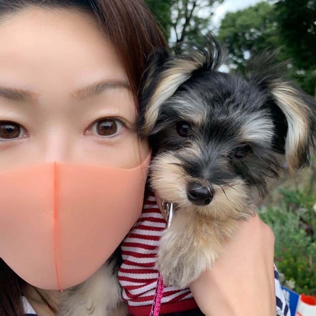 大石まどかさんのインスタグラム写真 - (大石まどかInstagram)「ねねちゃんとお散歩‼️初公園デビューをしました。 チャウチャウ犬🐶、初めて会ったベルギー犬🐶のブリュッセルグリフォンの2匹のワンちゃん達、たくさんのワンちゃん🐶に会ってねねちゃん❗️大喜び🥰 ワンちゃん🐶も人も大好き💕みたい😊 我が家に来た時は800gでしたが今は1.7キロになりました😃 #大石まどか #犬 #ミックス犬 #ヨークシャテリア #マルチーズ #初散歩 #公園デビュー #楽しい #癒し #カミカミ #カイカイ #歯」6月23日 20時18分 - madoka_oishi