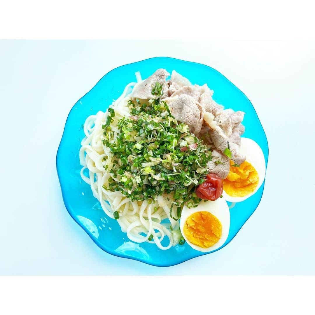 吉竹史さんのインスタグラム写真 - (吉竹史Instagram)「五味薬味たっぷりの冷やしうどん。  ミョウガ、大葉、生姜、ネギ、スプラウト、をみじん切りにして作る、夏のふりかけ✨ 薬味好きにはたまらん組み合わせです。  最近この五味薬味がSNSで流行って？いるんだとか。  私は、冷やしうどんにどっさりかけたり、お豆腐や納豆、素麺にかけるのも大好き。 もちろん焼き魚とかお肉にかけても美味しいし、卵かけごはんに混ぜても美味しい。 しゃぶしゃぶのタレに混ぜても、カツオのたたきにかけても美味しい。  むしろ、合わない組み合わせが思いつかない、最強の薬味。  スプラウト入ってるから栄養も満点✨ 夏バテしがちな胃に、スゥーっと薬味たちが入っていきます✨  冷蔵庫に常備しとくと、なかなか使えますよ、コレ✨✌️ お試しあれ✨  #五味薬味　#吉竹さんちのゴハン #冷やしうどん　#今日のごはん」6月23日 20時21分 - fumi_yoshitake