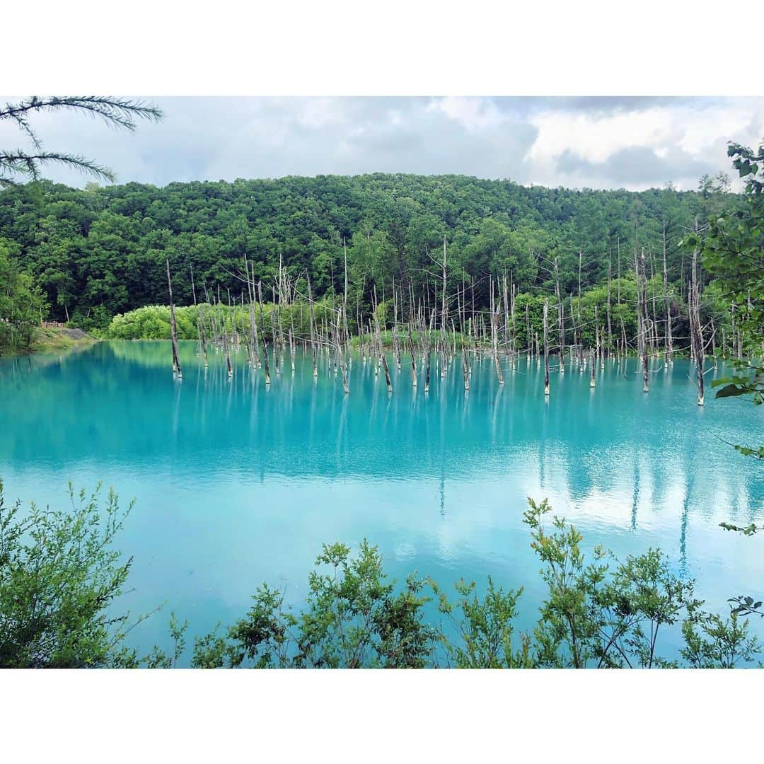 芳賀愛華さんのインスタグラム写真 - (芳賀愛華Instagram)「. 🌼滝川の菜の花畑 🌼色鮮やかで綺麗な美瑛町の色彩の丘 〔小さな後ろ姿は甥っ子🧍〕 🌼美瑛町の青い池 🌼何度も何度も訪れている京極町のふきだし公園 . #また旅へ　をつけて 北海道の旅の思い出や北海道の今を SNSで発信しましょうっ☺️❤️ #また旅へ . . . #北海道旅行#北海道日帰り旅#滝川菜の花畑#色彩の丘#青い池#ふきだし公園#美瑛#滝川#京極#hokkaido」6月23日 20時33分 - aika_haga