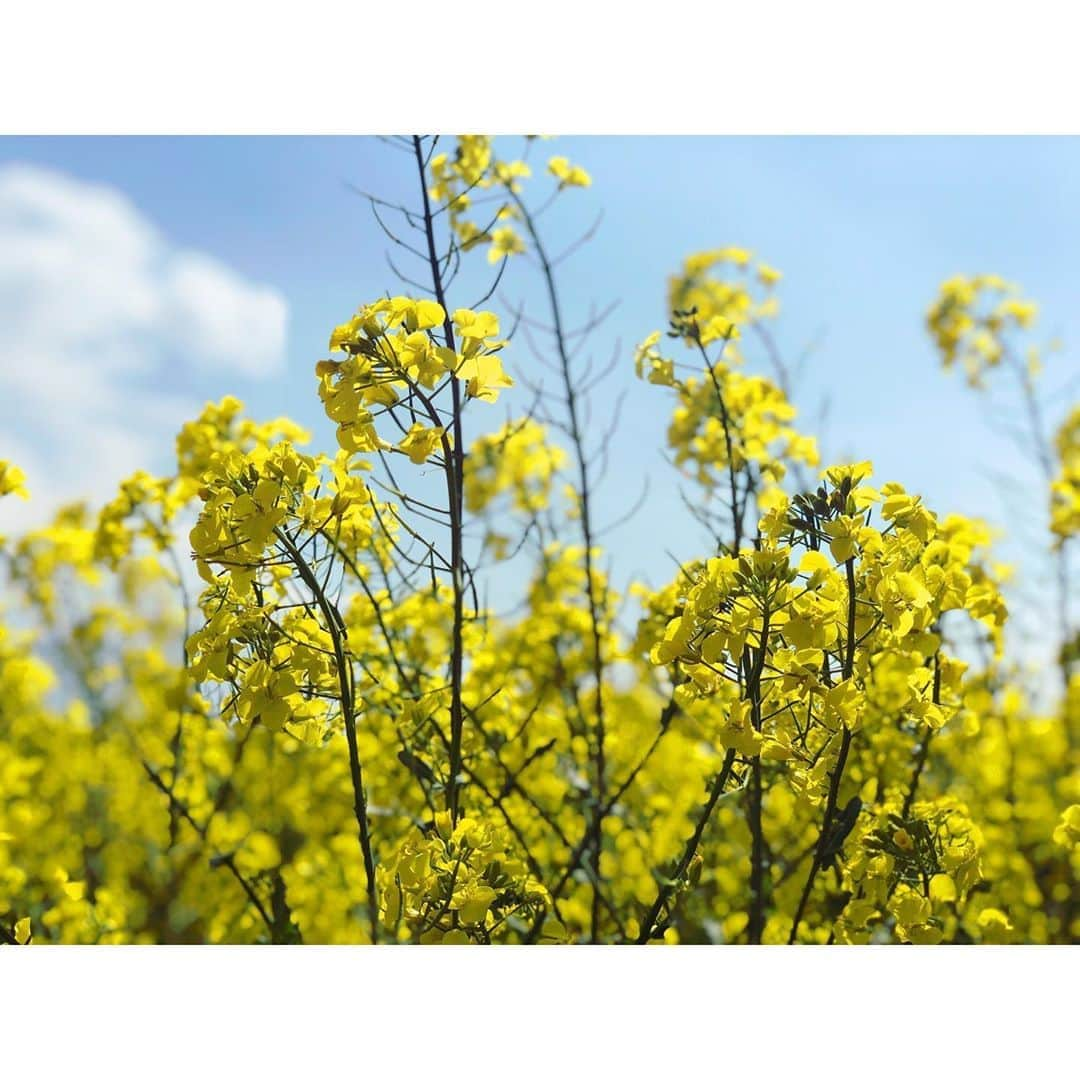 芳賀愛華のインスタグラム