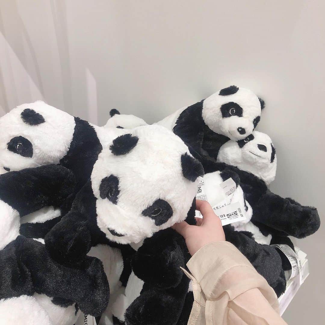 のインスタグラム：「. . 原宿のIKEA🐼 . IKEA自体初めて行った💭！ . . #ikea #ikea原宿 #パンダ #ぬいぐるみ」