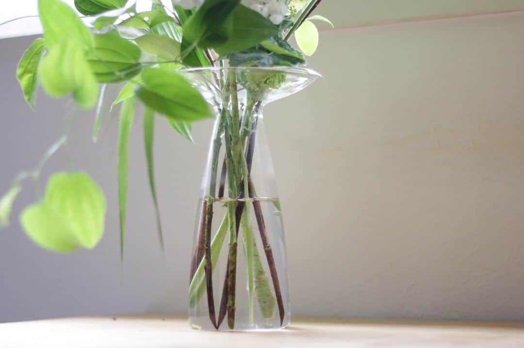 LOVEGREEN -植物と暮らしを豊かに。さんのインスタグラム写真 - (LOVEGREEN -植物と暮らしを豊かに。Instagram)「［エリンギウム］ . 「エリンギウム」という、ユニークな名前のフラワーベース。 まるで“カサ”のように広がった口とキュッとすぼまった首が特徴です👀 . この特徴が活ける花をバランスよく仕上げてくれます◎ . 長さも種類もバラバラの花植物。 それらをこうもまとめてくれるのです！ . サイズはS,M,Lの３種類。 今回紫陽花を活けるのに使用したのはSサイズです♪ . Sサイズのお値段は、￥2,200(税込)。 詳しくはプロフィール( @lovegreen_official )のURLよりご覧ください🌿 . . #紫陽花 #梅雨 #季節の花 #花 #花のある暮らし #花束 #花瓶 #花が好き #花のある生活 #フラワーベース #シンプルな暮らし #シンプルライフ #暮らしを楽しむ #日々の暮らし #シンプルデザイン #賃貸暮らし #植物 #植物のある暮らし #植物のある生活 #植物と暮らす #植物が好き #インテリア雑貨 #インテリア好き #インテリア植物 #インテリアグリーン #ナチュラルインテリア #賃貸インテリア #LOVEGREEN #植物と暮らしを豊かに」6月23日 21時00分 - lovegreen_official
