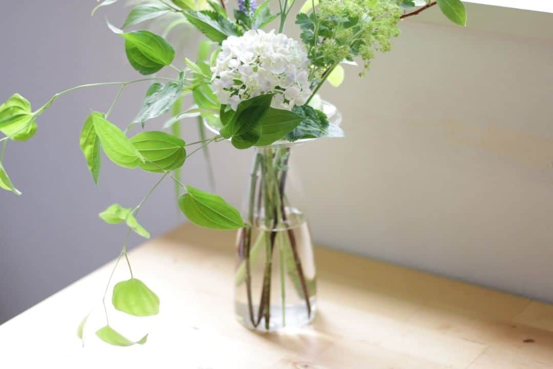 LOVEGREEN -植物と暮らしを豊かに。さんのインスタグラム写真 - (LOVEGREEN -植物と暮らしを豊かに。Instagram)「［エリンギウム］ . 「エリンギウム」という、ユニークな名前のフラワーベース。 まるで“カサ”のように広がった口とキュッとすぼまった首が特徴です👀 . この特徴が活ける花をバランスよく仕上げてくれます◎ . 長さも種類もバラバラの花植物。 それらをこうもまとめてくれるのです！ . サイズはS,M,Lの３種類。 今回紫陽花を活けるのに使用したのはSサイズです♪ . Sサイズのお値段は、￥2,200(税込)。 詳しくはプロフィール( @lovegreen_official )のURLよりご覧ください🌿 . . #紫陽花 #梅雨 #季節の花 #花 #花のある暮らし #花束 #花瓶 #花が好き #花のある生活 #フラワーベース #シンプルな暮らし #シンプルライフ #暮らしを楽しむ #日々の暮らし #シンプルデザイン #賃貸暮らし #植物 #植物のある暮らし #植物のある生活 #植物と暮らす #植物が好き #インテリア雑貨 #インテリア好き #インテリア植物 #インテリアグリーン #ナチュラルインテリア #賃貸インテリア #LOVEGREEN #植物と暮らしを豊かに」6月23日 21時00分 - lovegreen_official