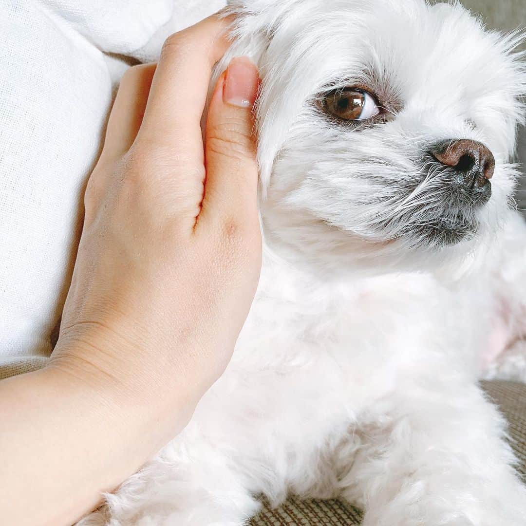 みき みーやんのインスタグラム