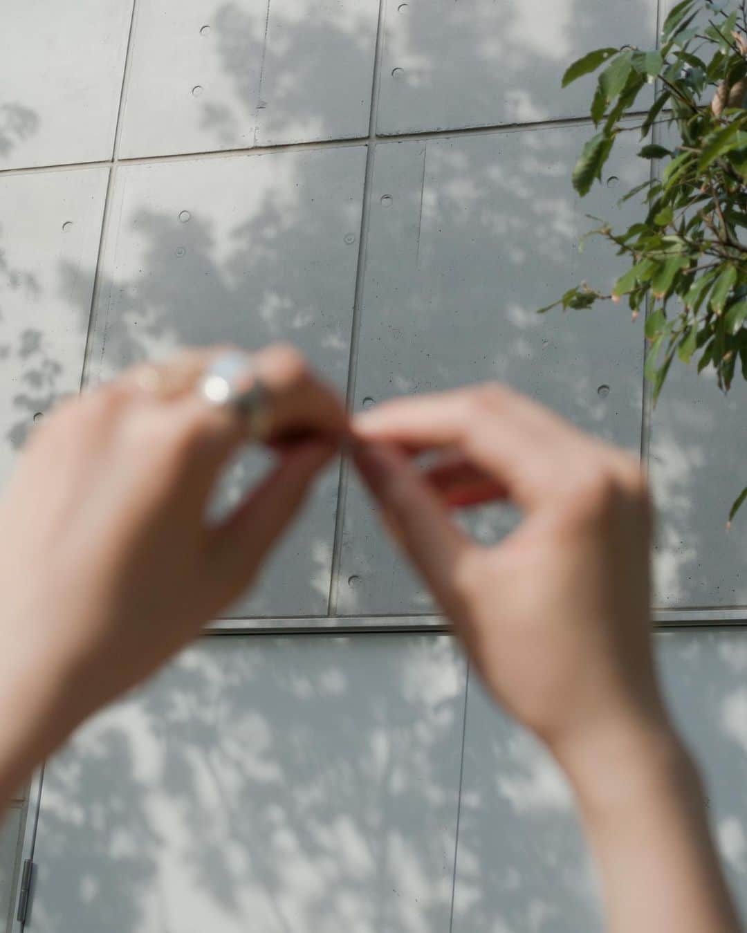 Kisshomaru S.のインスタグラム：「“what if everything is connected”  Group exhibition “Spinner Markt” @spinner_spiral curated by @emma_maeda  6/28(日)まで表参道スパイラルにて合同展に参加しています。会場ではプリントのほかポスターも販売しております。是非お越しください。  作品売り上げから諸経費を除いた全ての金額を、1点1点の写真に応じて医療、動物愛護、自然保護、安全な水、人種差別、子供達の安全な生活と教育、海洋プラスチックゴミなどの問題に対して国境なき医師団やWWFなどを通して寄付致します。  COVID-19によって私たちの生活様式が変わり、価値観を再構築する機会になったと思います。COVID-19の特徴として潜伏期間の長さと感染力の高さが挙げられていますが、ウイルスに限らず私たちの日々の言葉や行動も同じように周囲に対して、またこの社会に対して少なからず影響を確実に及ぼしています。  Stay Homeという選択を取ることによって、周囲との物理的接触を避け人のいのちを守っていたように、私たち一人一人がこの世界全体の大きなつながりの一員であることを自覚することになったと思います。同じように、この世界に無数に存在している問題に対して今日誰が他人事でいられるでしょうか。この大きなつながりの中で生きている私たちは、問い続ける必要があります。自分自身と、この世界に対して。  会期：2020年6月23日（火）～28日（日）11:00〜19:00  入場料：入場無料  会場：スパイラルガーデン（スパイラル1F） 東京都港区南青山5-6-23（東京メトロ 表参道駅B1・B3出口すぐ）」