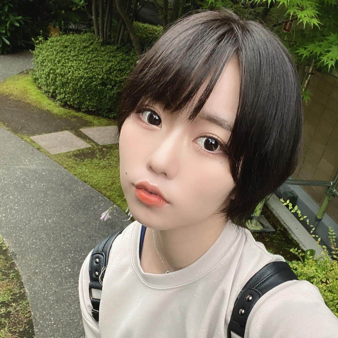 千葉妃理さんのインスタグラム写真 - (千葉妃理Instagram)「。 。。 緑があるとやっぱいいね！ 。。 。。。 #コーデ #毎日コーデ #fashion #instagood #like4likes #followｍe #instafashion #ootd #ootdfashion #데일리룩 #옷스타그램 #오오티디 #코디 #좋아요환영 #패션 #패션스타그램 #옷 #アイドル #ショートカット」6月23日 21時45分 - heri_byakuya