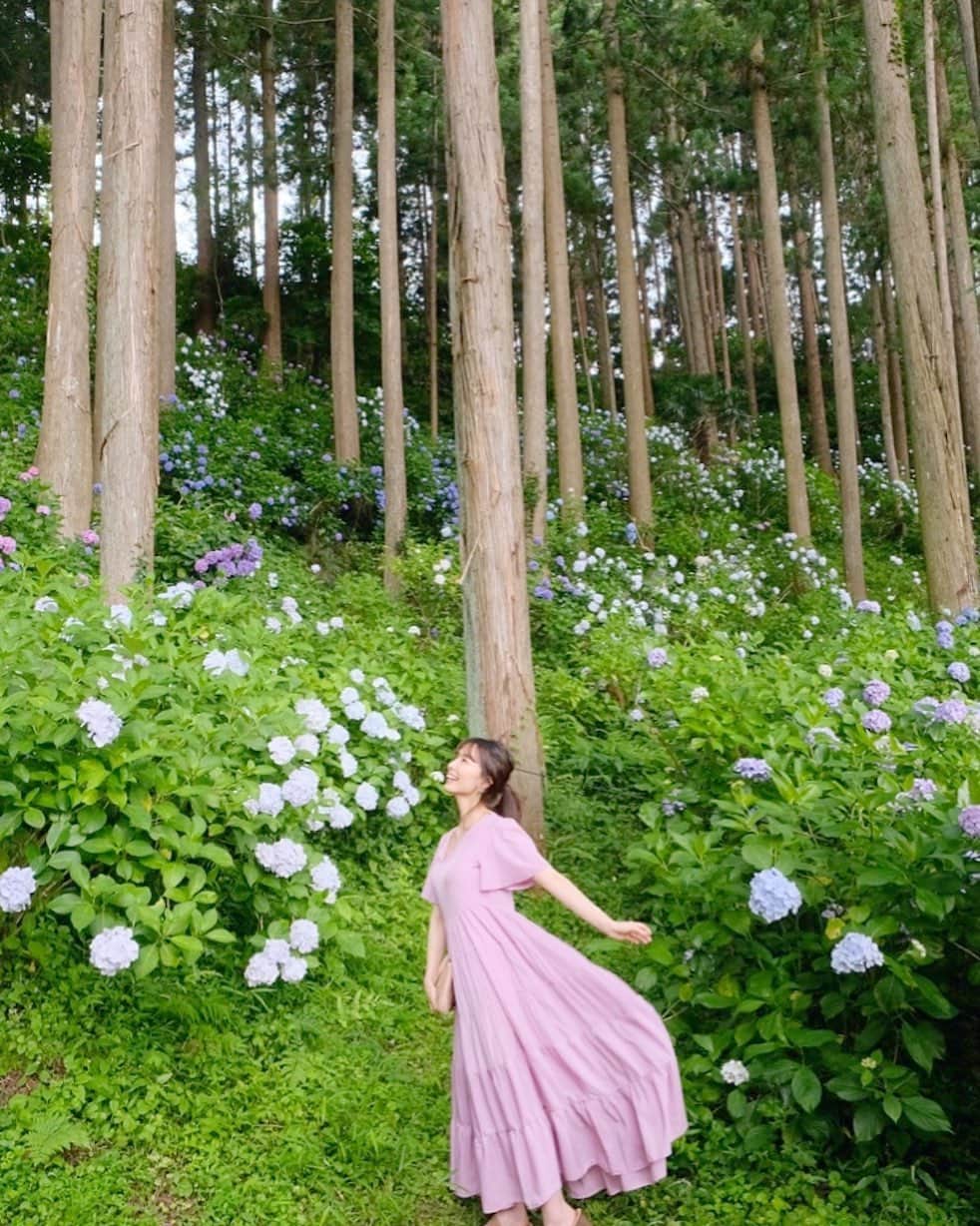minsayuさんのインスタグラム写真 - (minsayuInstagram)「* 服部さんの紫陽花屋敷💠🤤💠 それはもうファンタジーの世界でした💠 すごい…すごいよ服部しゃん… #にんにん」6月24日 8時42分 - minsayu