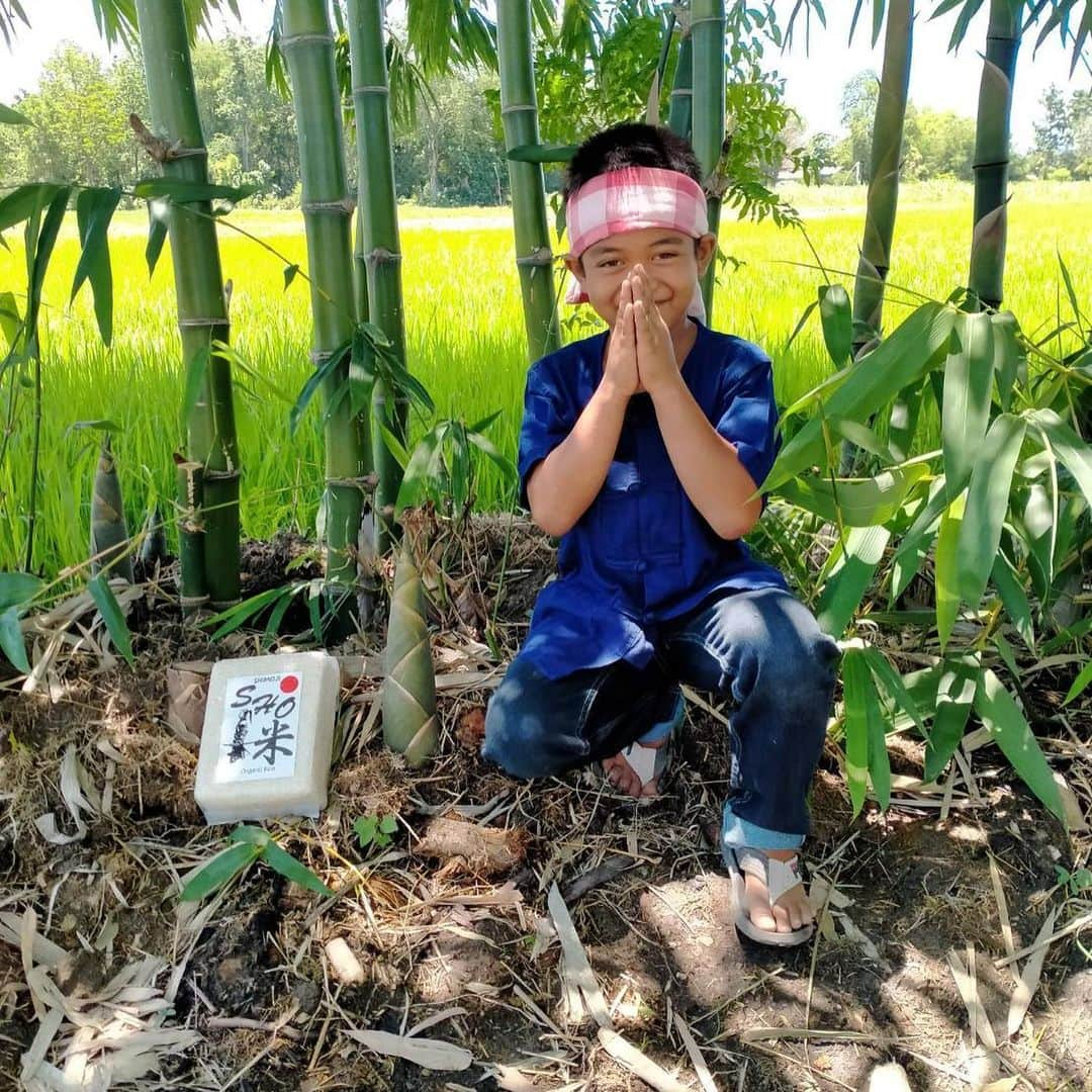 下地奨さんのインスタグラム写真 - (下地奨Instagram)「ชาวนาตัวน้อยนักเรียนโรงเรียนวัดเขาผาแรตครับ ลูกศิษย์ครูยนเองครับ มาช่วยพี่โช ขายข้าวชาวนาไทยกัน น่ารักมาก  อ่ะน่ารัก มาทานข้าวปลอดสารพิษกัน ”SHO RICE“パートナーのヨン先生の生徒さんです。ありがとう😊とにかくかわいい😍」6月24日 7時24分 - sho_shimoji