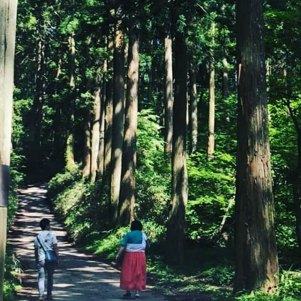西川忠志さんのインスタグラム写真 - (西川忠志Instagram)「本日も早朝から旅は続いております！  森林の中はマイナスイオンがいっぱいです！  気持ちいーい！  そして 今回は2人旅をさせていただいております😊  晴れ渡る空の下 どなたと旅をさせて頂いてるでしょう？か😊  今日も楽しく為になる旅は続きます。  感謝」6月24日 7時46分 - nishikawa_tada