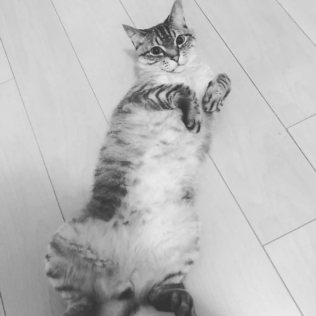 前原滉のインスタグラム：「おやすみなさい😴😴」
