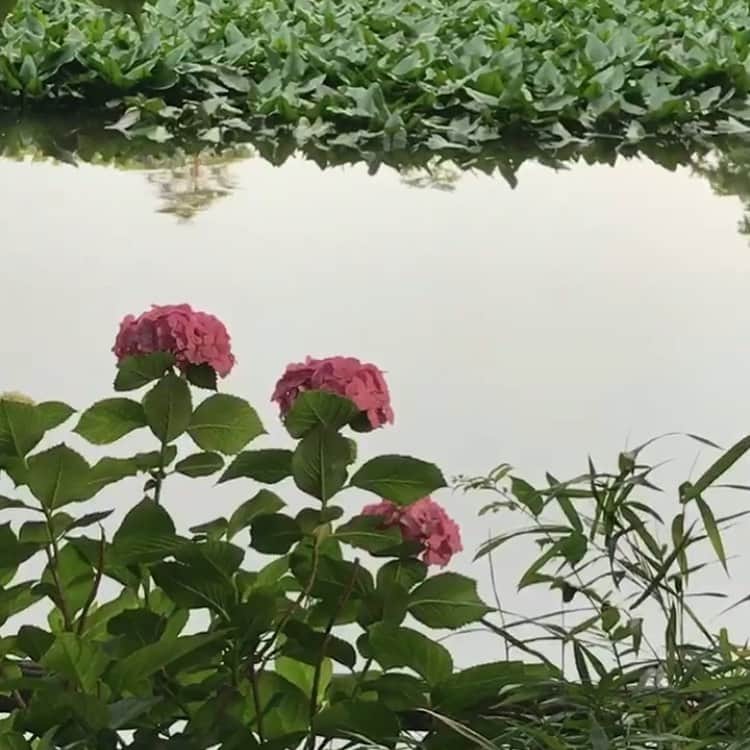 のインスタグラム：「「私」をつくっているのは私だけじゃなくて、関わってくださる人だったり、周りの大切な人だったりするんだ、素敵だ！」