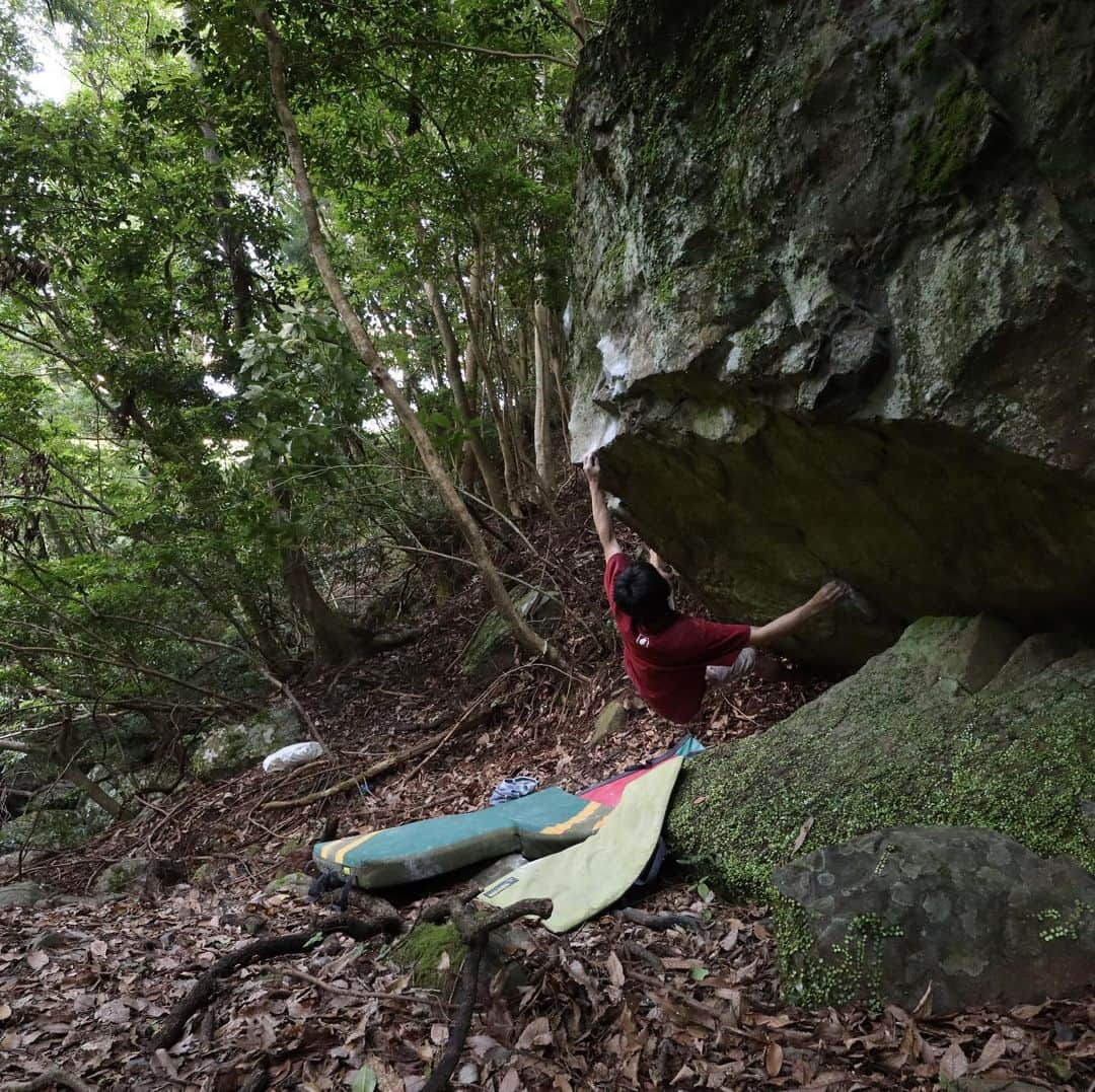 濱田健介のインスタグラム：「Today, I climbed two boulders. I found these boulders yesterday. Both were V9?? I don’t know.. because too hot. But I enjoyed a lot. 今日は梅雨の合間に岩へ。昨日見つけた岩がなかなか良さげだったので。 昼間は流石に暑くて厳しかったけど、夕方に2本のラインが登れた。 たぶんどっちも2段くらいなんかなー？？ やっぱり岩は楽しかった。 最近はもっぱら岩探しばかりで。ほぼほぼ外れやねんけど。。 岩探して、登って、岩探して、登って、の繰り返しで高校生の頃から変わらんなーと思った。まあこれからも変わらんなやろうけど。 @rockmasterhq  @organicclimbing  @unparallelup  @nogradjustfeeling  @camp1889」