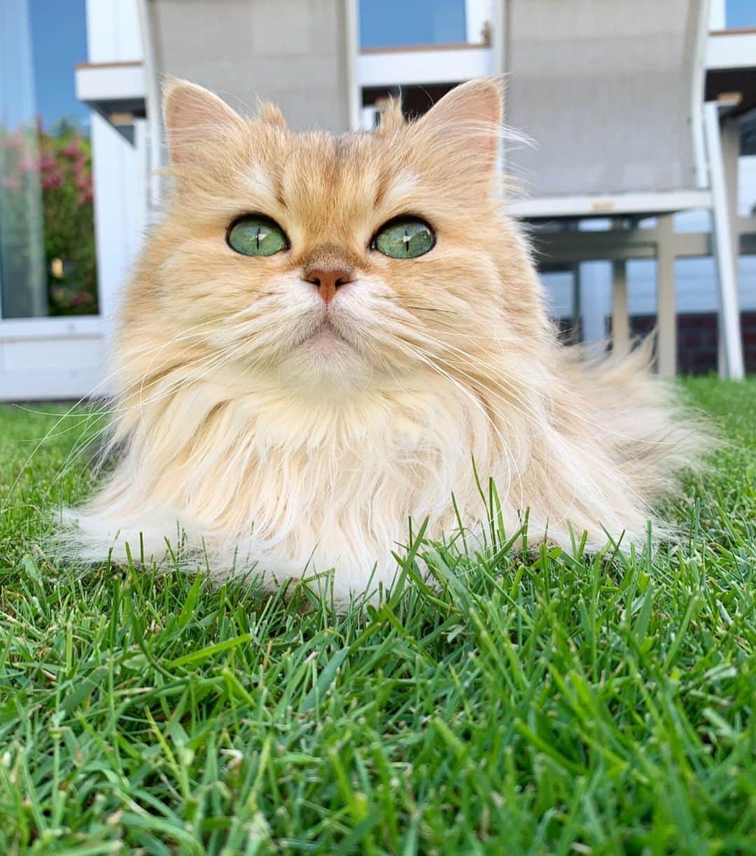 Smoothieのインスタグラム：「Close & far: a matter of perspective!」