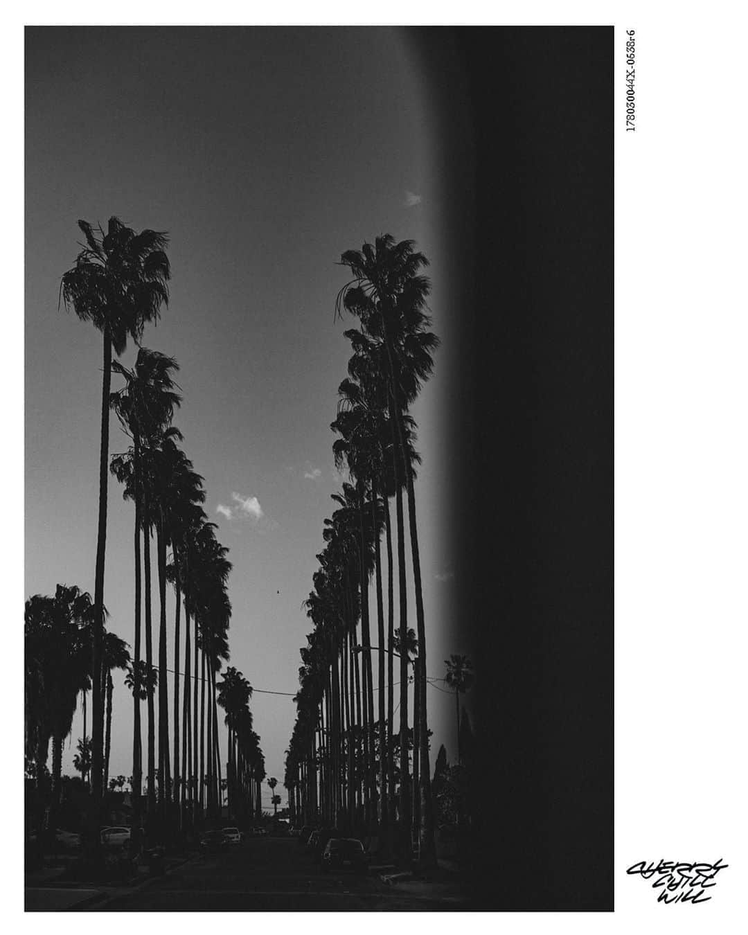 のインスタグラム：「""""""" photographed by cherry chill will. #crenshaw #losangeles #cherrychilwill」