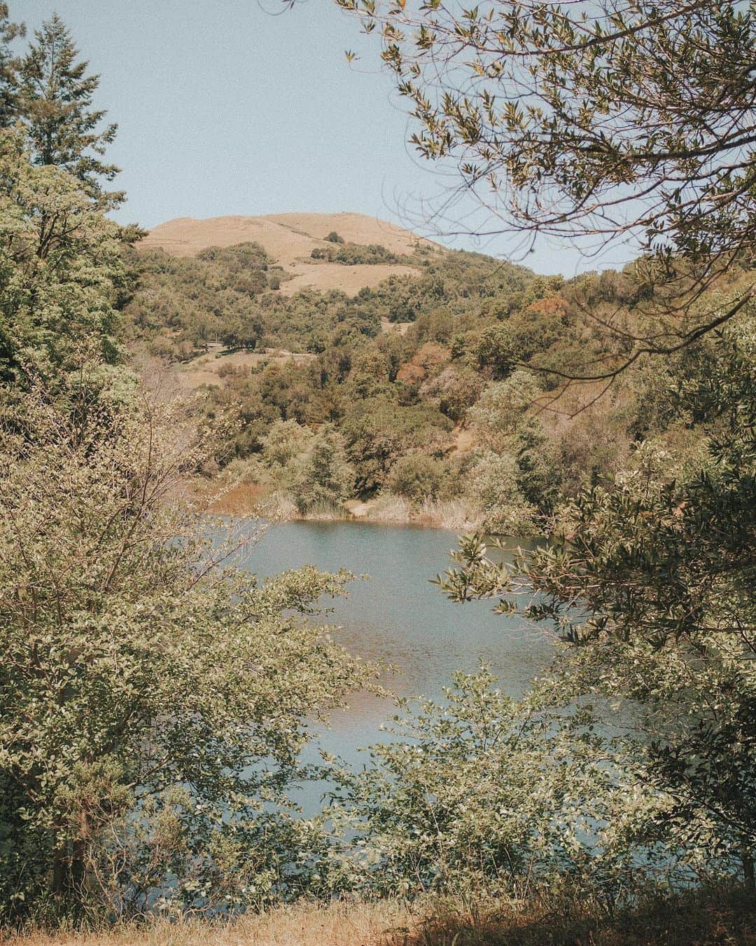 W E Y L I Eのインスタグラム：「Real life Animal Crossing 🎣」
