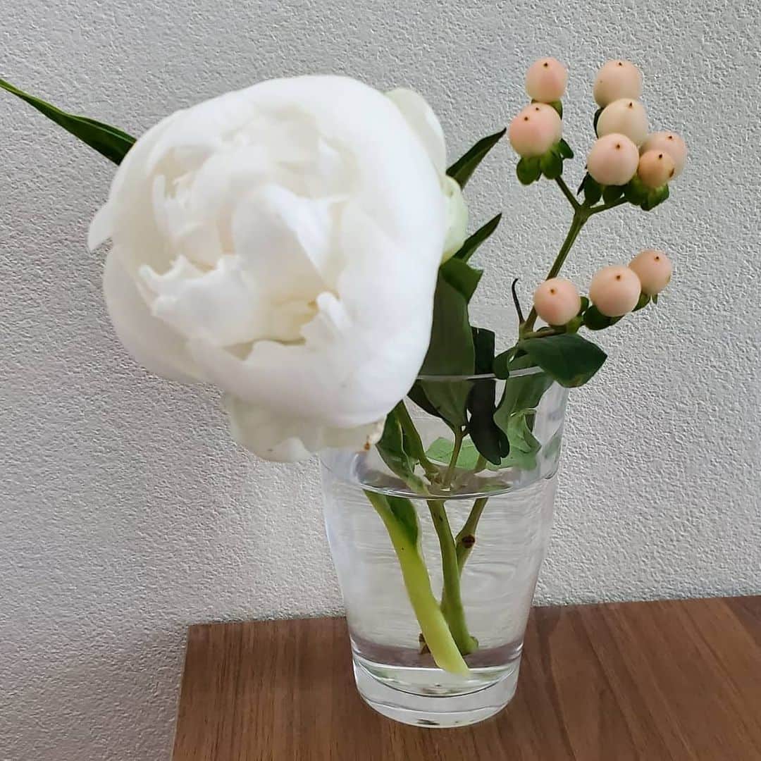 Naokoさんのインスタグラム写真 - (NaokoInstagram)「💐お花のある暮らしへの招待状💐  @bloomeelife さんよりかわゆいお花を📮に送っていただきました。  今回のお花は シャクヤク ヒペリカム ドラセナ  お花が📮に届くのはとても便利でうれしいです😊 有効期限が2020/6/30 23:59まで使えるクーポンコードです👉「JOY」  初回のお花と送料が無料になるそうです❣ この機会にぜひ〜💐🌺. . . . . #bloomeelife#ブルーミーライフ#花のある生活#お花のある暮らし#シャクヤク」6月24日 3時22分 - setsunao