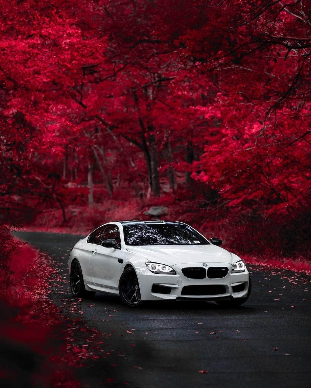 BMWさんのインスタグラム写真 - (BMWInstagram)「There‘s a shade of red in every M. The third generation BMW M6 Coupé. #BMW #M6 #BMWrepost @philsags」6月24日 4時15分 - bmw