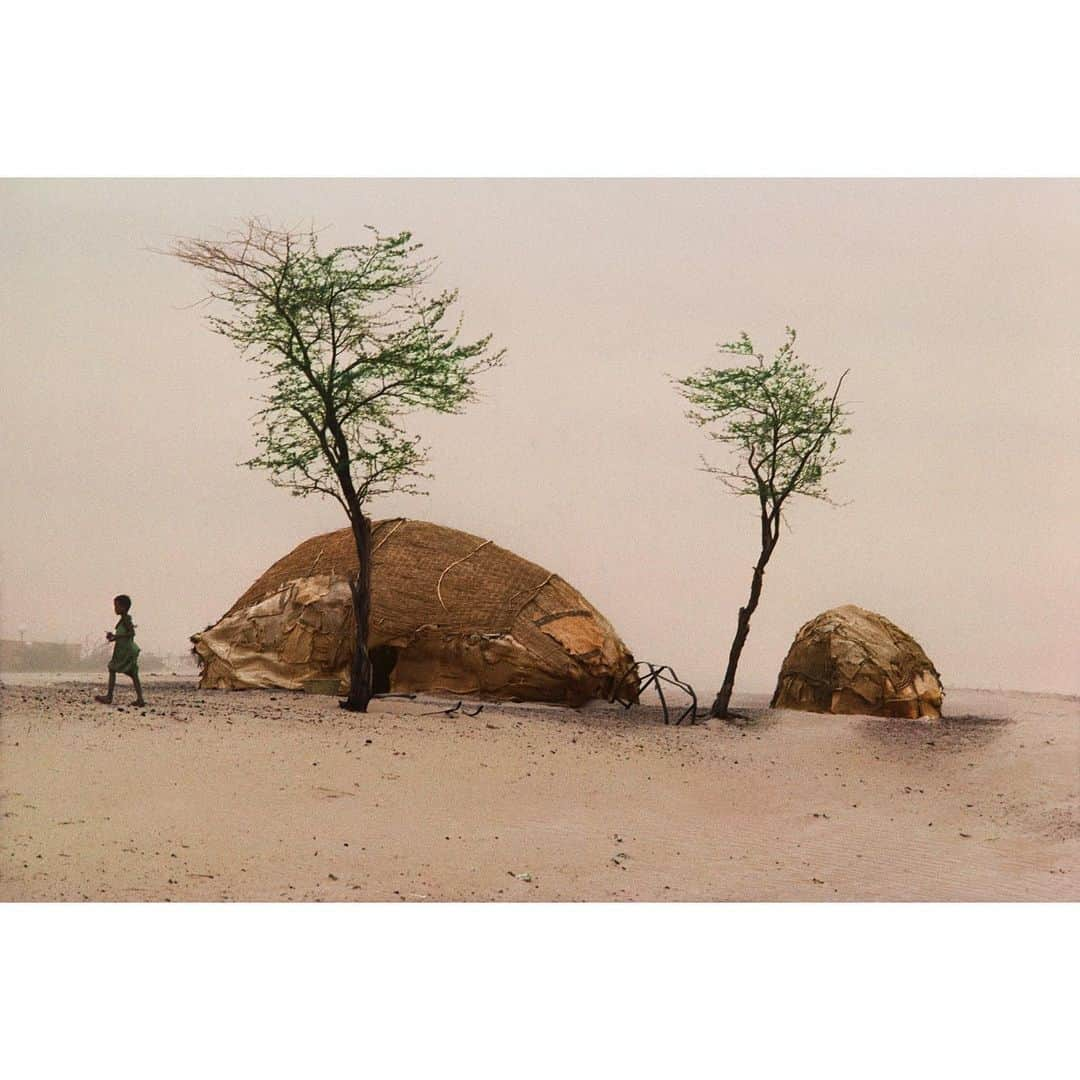 スティーブ・マカリーさんのインスタグラム写真 - (スティーブ・マカリーInstagram)「The #Sahel is a region in #Africa between the Sahara and Savanna. Decades of desertification have changed the landscape and ways of life. 1st image: Boy walks from his home, #Timbuktu, #Mali, 1986. 2nd image: The family of this Tuareg woman once roamed the Sahel with hundreds of cattle, but drought caused their nomadic lifestyle to end. #Gao, 1986. 3rd image: In 1986, I was flying from Timbuktu to Bamako when the pilot got lost in a sandstorm. After circling and scanning the landscape looking for a place to land, the pilot spotted a millet field, small, but flat. We shuddered to a stop with a few hard bounces as villagers ran out to see what had happened. We had to spend the night sleeping under the wing of the plane. The next morning, villagers helped push the plane so the pilot could get it started.  #SteveMcCurry」6月24日 5時33分 - stevemccurryofficial