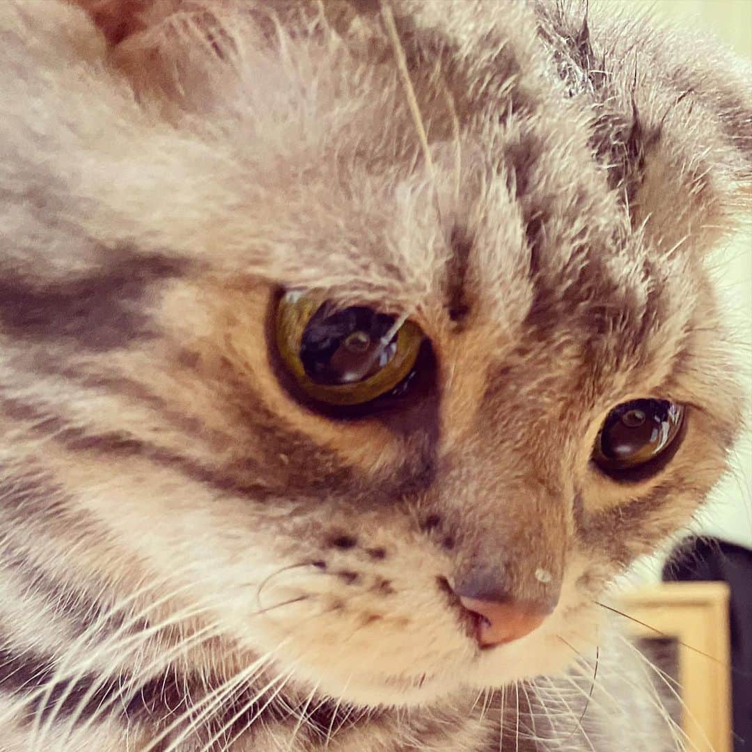 のインスタグラム：「※ なごむ『どうして こんなところに水滴が？』 #こっちが聞きたいわ」