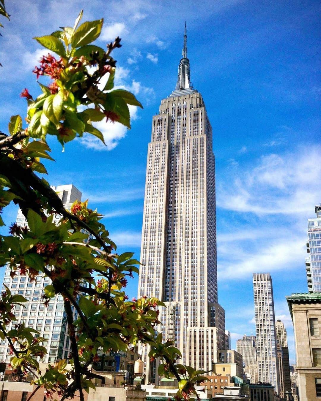 Empire State Buildingさんのインスタグラム写真 - (Empire State BuildingInstagram)「Best summer activity of all time? 🤔 ⠀⠀⠀⠀⠀⠀⠀⠀⠀ 1. BBQs 2. The Beach 3. Swimming in a pool ⠀⠀⠀⠀⠀⠀⠀⠀⠀ Comment below! ⠀⠀⠀⠀⠀⠀⠀⠀⠀ 📷: @andresoimages #EmpireStateBuilding」6月24日 7時10分 - empirestatebldg