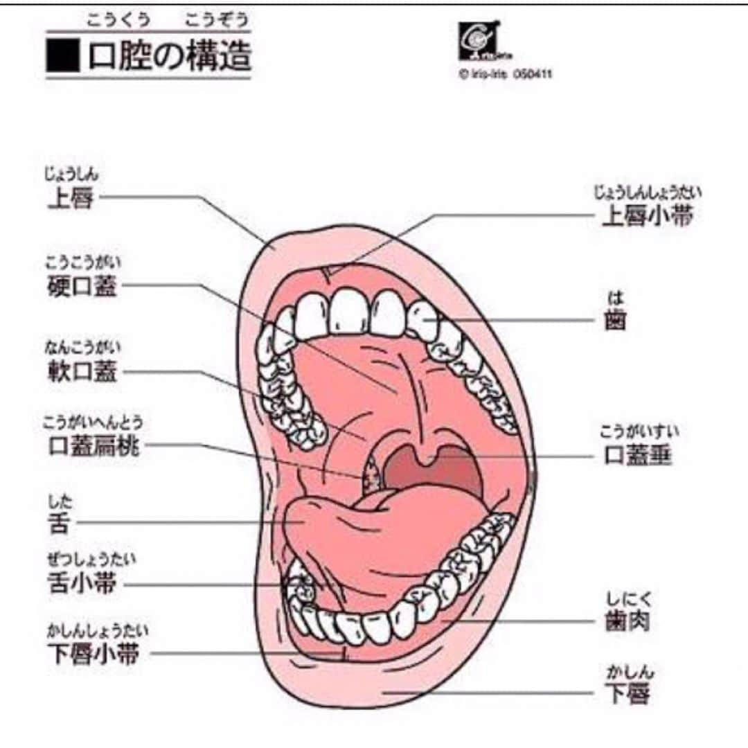 赤平大さんのインスタグラム写真 - (赤平大Instagram)「コロナ自粛期間中、身体に起こった出来事。 ①右奥歯　歯根破折（歯が根本から縦に骨折）→手術 ②舌小帯（舌の裏の筋）2センチ断裂→手術 ③近年最大級の群発性頭痛→12時間で自己注射2本、嘔吐14回。 ④右手首靭帯損傷再発（TFCC）→固定中だが、痛み増し、いよいよ手術か ⑤毎日、睡眠時の金縛り→現在も継続中　慣れた。  コロナに感染してないから、健康体！！！と考える！！ #コロナ #自粛 #歯根破折 #舌小帯 #断裂 #手術 #群発性頭痛 #自分で #注射 #目をえぐられるような痛み #靭帯損傷 #tfcc #治りにくい #金縛り #かれこれ #30日連続 だと思う #心霊現象 ではない」6月24日 16時34分 - masaru_akahira