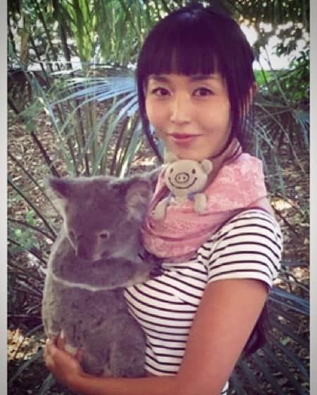まりかさんのインスタグラム写真 - (まりかInstagram)「I miss 🐨  #fancentral  #penthousepet #model #コアラ #japanesegirl  動物って何で可愛いんだ？憎たらしい位可愛い。」6月24日 16時36分 - maricahase