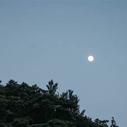 ヒラハルのグルメインスタ