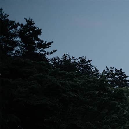 ヒラハルのグルメインスタ