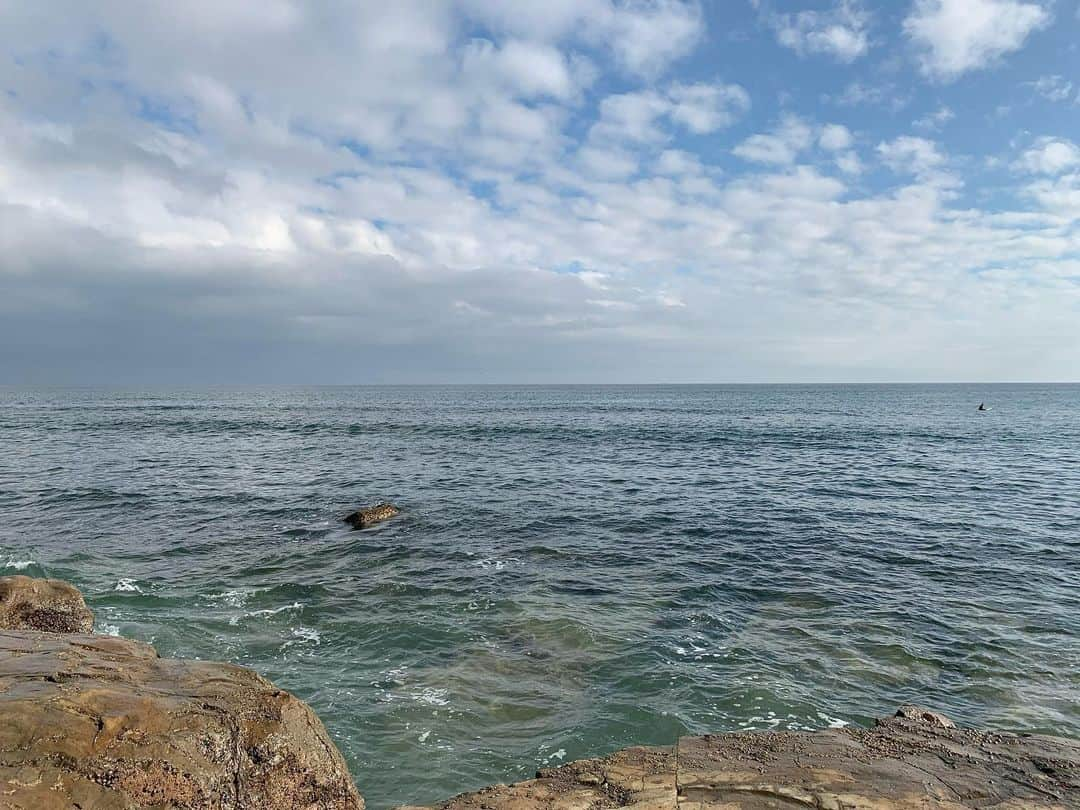 岡田マリアのインスタグラム：「雨だったのにすっかり夏空、夏海。  #海辺の暮らし🐚」