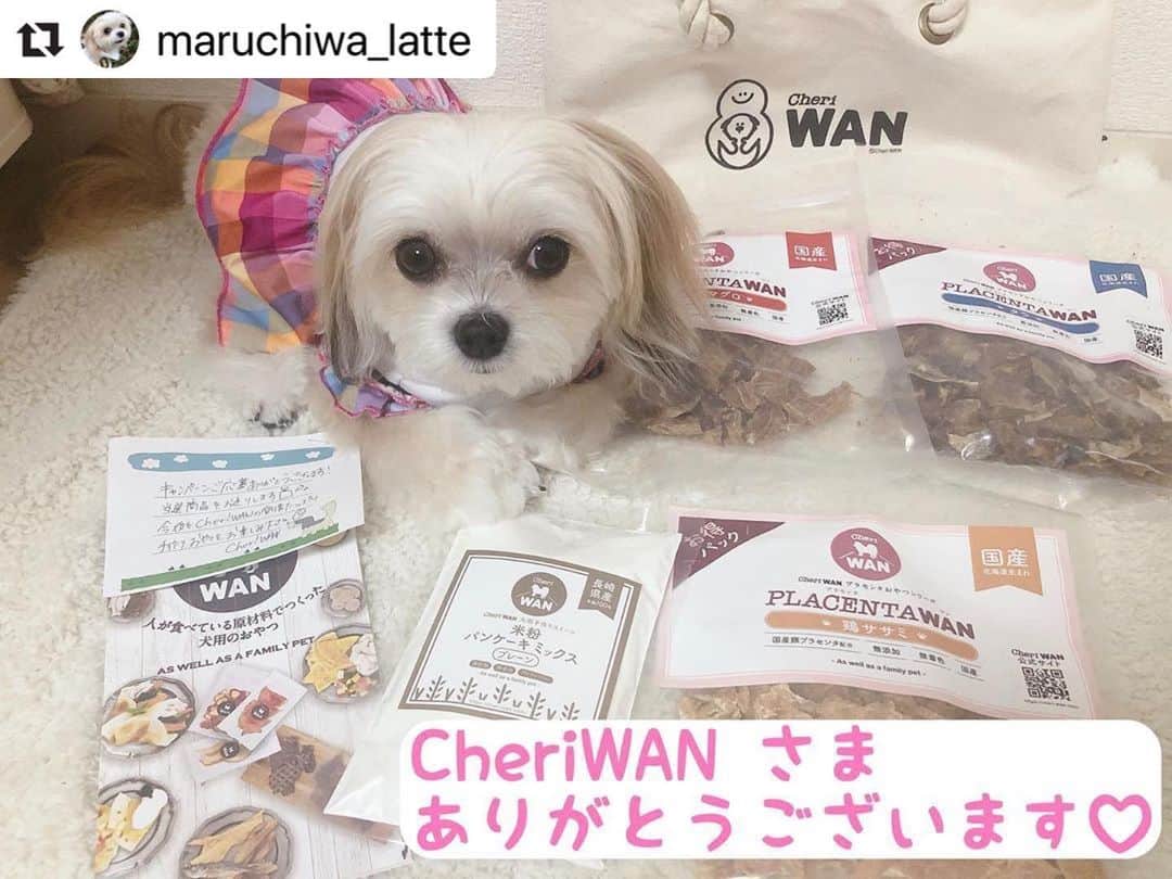 CheriWANさんのインスタグラム写真 - (CheriWANInstagram)「キャンペーンご応募ありがとうございました😊 お出汁のスープアレンジ、とっても美味しそうです👀！」6月24日 17時17分 - cheriwan_official