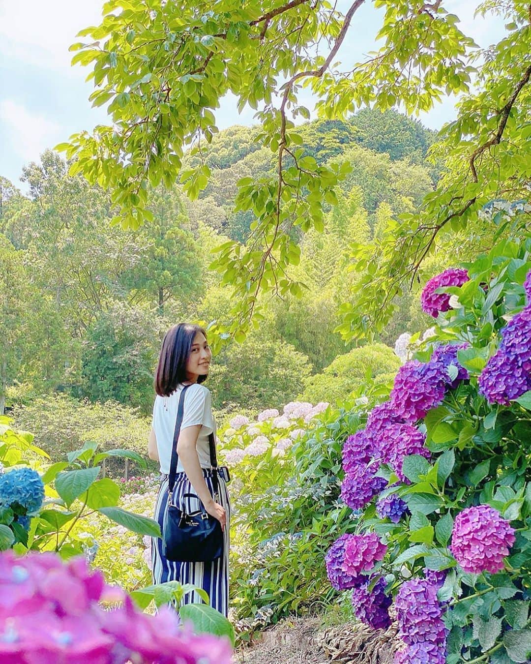 のインスタグラム：「﻿お出かけ🚗 ﻿ #紫陽花﻿ ﻿ 満開でした！！！﻿ ﻿ ﻿ ﻿ ﻿ ﻿ ﻿ 久しぶりに﻿ ﻿ 自然に触れ合えて﻿ ﻿ お外に出れた！﻿ ﻿ ﻿ という感じ♡﻿ ﻿ ﻿ ﻿ ﻿ ﻿ ﻿ 人がいないところでは﻿ ﻿ マスク外しながら﻿ ﻿ 熱中症対策！﻿ ﻿ ﻿ ﻿ #あじさい﻿ #flower﻿ #花﻿ #自然﻿ #love﻿」