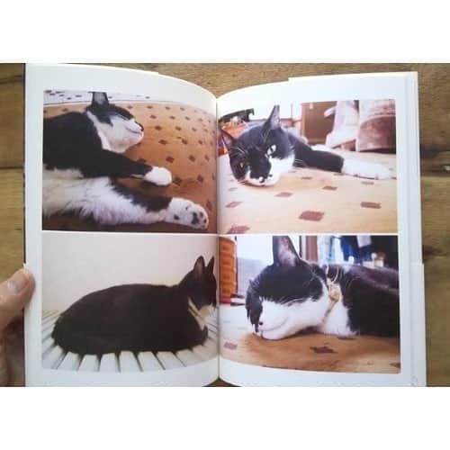 Photobackさんのインスタグラム写真 - (PhotobackInstagram)「本日ご紹介するのは、 y(@toanothergalaxy_)さまの作品🐈 今は亡き愛猫との 思い出を一冊に まとめた作品です📚 . 『大好きだった飼い猫クロが 死んでしまって、 思い出を本にしようと 思ったのがきっかけです。 生活感溢れる いつもの毎日の 写真をたくさん入れたので、 開くとクロがすぐ側にいた感覚が 甦って泣きそうになります。 . 思い出がありすぎて 一冊じゃ収まらないので 写真を選ぶのは大変でしが、 3冊つくって妹と母にもあげました☺️』 と、y(@toanothergalaxy_)さま🍀 . いつもあたりまえのように 傍にいた猫ちゃんが いなくなってしまうことは とっても辛いこと…。 ですが、こうやって カタチに残しておくことで いつでもまた傍に いることができます😌 . 日常感を感じるお写真を そのまま使うことで より“距離の近さ”を 感じることもできますよね💐 プレゼントされた ご家族の方々も きっとうれしいはずです❣️ . 今回の作品では、 Photobackの LIFE 36ページで つくられたそう🌷 気軽に見返すことができる 質感や大きさだからこそ、 こういった大切な思い出を しまっておくのに ぴったりです🕊 . y(@toanothergalaxy_)さま、 今回は素敵な作品を ありがとうございました🐝 . #photoback #フォトバック #フォトアルバム #フォトブック #アルバム #photo #写真 #photoback作品紹介2020 #LIFE #思い出 #猫 #愛猫 #黒猫 #cat #ねこ #ネコ部 #猫のいる暮らし #猫のいる生活 #プレゼント」6月24日 17時32分 - photoback.jp