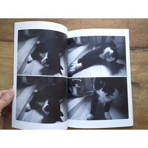 Photobackさんのインスタグラム写真 - (PhotobackInstagram)「本日ご紹介するのは、 y(@toanothergalaxy_)さまの作品🐈 今は亡き愛猫との 思い出を一冊に まとめた作品です📚 . 『大好きだった飼い猫クロが 死んでしまって、 思い出を本にしようと 思ったのがきっかけです。 生活感溢れる いつもの毎日の 写真をたくさん入れたので、 開くとクロがすぐ側にいた感覚が 甦って泣きそうになります。 . 思い出がありすぎて 一冊じゃ収まらないので 写真を選ぶのは大変でしが、 3冊つくって妹と母にもあげました☺️』 と、y(@toanothergalaxy_)さま🍀 . いつもあたりまえのように 傍にいた猫ちゃんが いなくなってしまうことは とっても辛いこと…。 ですが、こうやって カタチに残しておくことで いつでもまた傍に いることができます😌 . 日常感を感じるお写真を そのまま使うことで より“距離の近さ”を 感じることもできますよね💐 プレゼントされた ご家族の方々も きっとうれしいはずです❣️ . 今回の作品では、 Photobackの LIFE 36ページで つくられたそう🌷 気軽に見返すことができる 質感や大きさだからこそ、 こういった大切な思い出を しまっておくのに ぴったりです🕊 . y(@toanothergalaxy_)さま、 今回は素敵な作品を ありがとうございました🐝 . #photoback #フォトバック #フォトアルバム #フォトブック #アルバム #photo #写真 #photoback作品紹介2020 #LIFE #思い出 #猫 #愛猫 #黒猫 #cat #ねこ #ネコ部 #猫のいる暮らし #猫のいる生活 #プレゼント」6月24日 17時32分 - photoback.jp