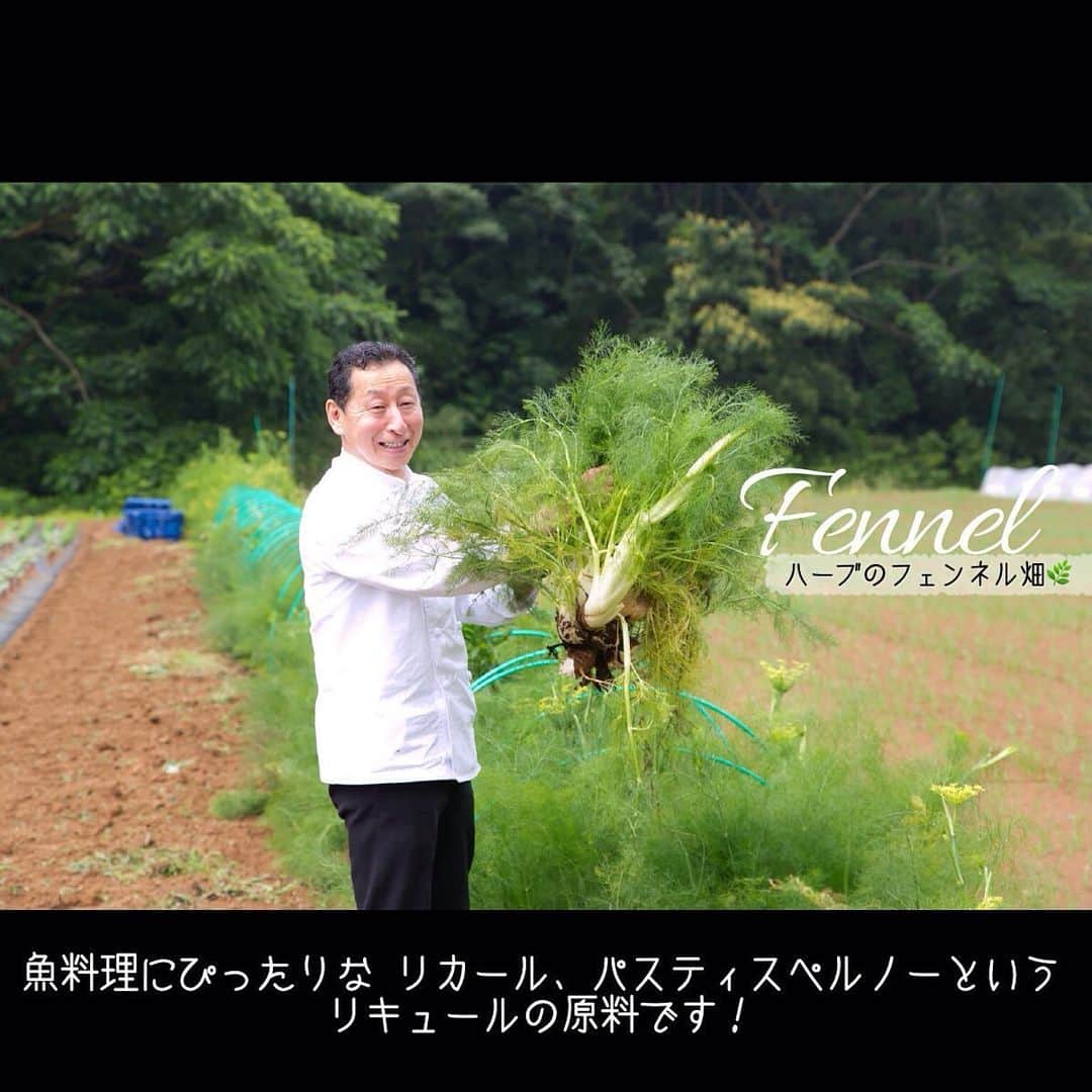 ロイヤルホールヨコハマ【公式サイト】のグルメインスタ