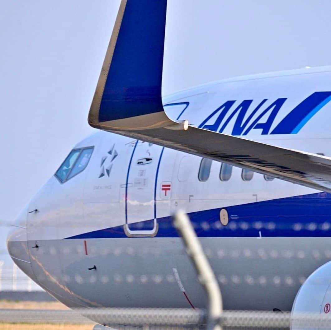 ANAさんのインスタグラム写真 - (ANAInstagram)「凛々しい横顔﻿✨ （Photo：@hiroyuki_dodo）﻿ ﻿ #今日も #皆を乗せて #安全で快適な #空の旅へ #ボーイング737 #B737 #イケメン #滑走路 #翼 #主翼 #ウイングレット #青い翼 #ANAブルー #飛行機好きな人と繋がりたい #飛行機のある風景 #次行きたい旅スポット #ヒコーキ #ソラマニ_ヒコーキ #safety #comfortable #flight #runway #wing #anablue #b737 #anaairplane #camera  #ana_jp﻿ ﻿ ANAの飛行機は「#ソラマニ_ヒコーキ 」をつけて投稿してね✈️インスタやANAの各メディアでご紹介していきます☺️」6月24日 17時30分 - ana.japan